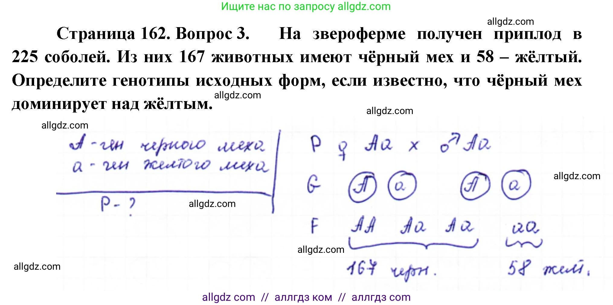 Биология, 10 класс Учебник, авторы: Пасечник Владимир Васильевич, Каменский Андрей Александрович, Рубцов Александр Михайлович, Швецов Глеб Геннадьевич, Абовян Леван Арташесович, Гапонюк Зоя Георгиевна, издательство Просвещение, Москва, 2024, коричневого цвета, Часть 2, страница 162, номер 3, Решение