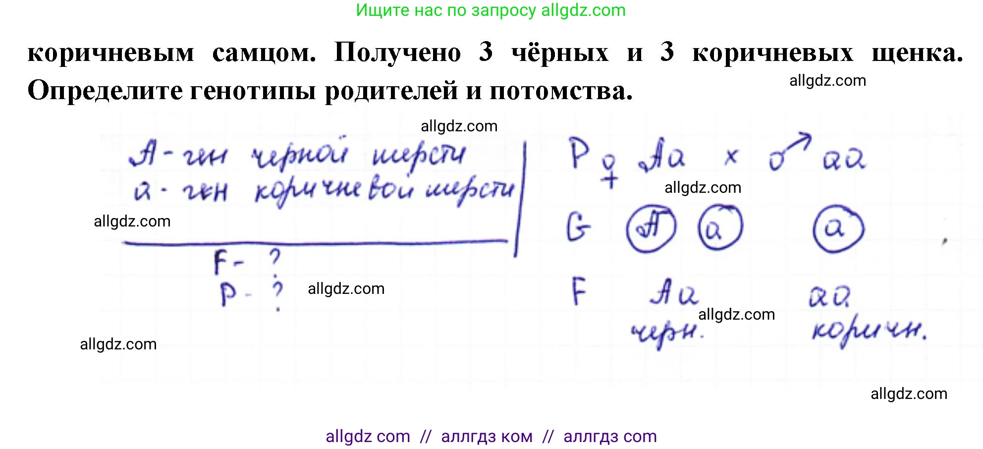 Биология, 10 класс Учебник, авторы: Пасечник Владимир Васильевич, Каменский Андрей Александрович, Рубцов Александр Михайлович, Швецов Глеб Геннадьевич, Абовян Леван Арташесович, Гапонюк Зоя Георгиевна, издательство Просвещение, Москва, 2024, коричневого цвета, Часть 2, страница 166, номер 1, Решение (продолжение 2)