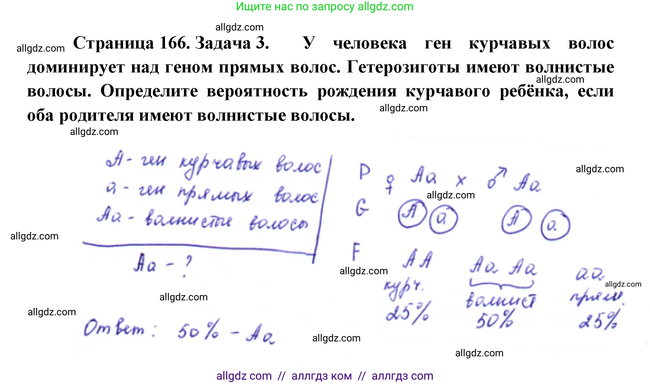 Биология, 10 класс Учебник, авторы: Пасечник Владимир Васильевич, Каменский Андрей Александрович, Рубцов Александр Михайлович, Швецов Глеб Геннадьевич, Абовян Леван Арташесович, Гапонюк Зоя Георгиевна, издательство Просвещение, Москва, 2024, коричневого цвета, Часть 2, страница 166, номер 3, Решение