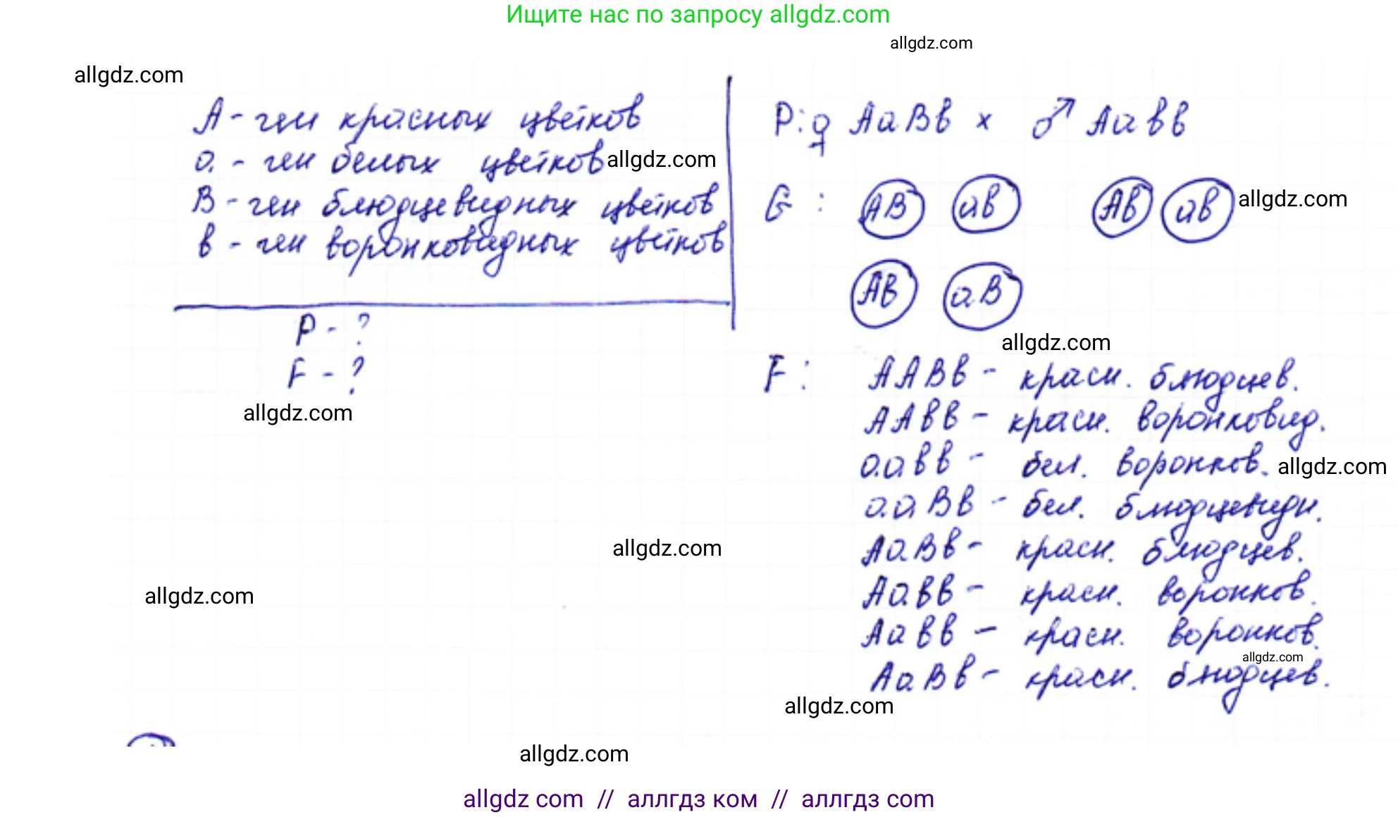 Биология, 10 класс Учебник, авторы: Пасечник Владимир Васильевич, Каменский Андрей Александрович, Рубцов Александр Михайлович, Швецов Глеб Геннадьевич, Абовян Леван Арташесович, Гапонюк Зоя Георгиевна, издательство Просвещение, Москва, 2024, коричневого цвета, Часть 2, страница 172, номер 2, Решение (продолжение 2)