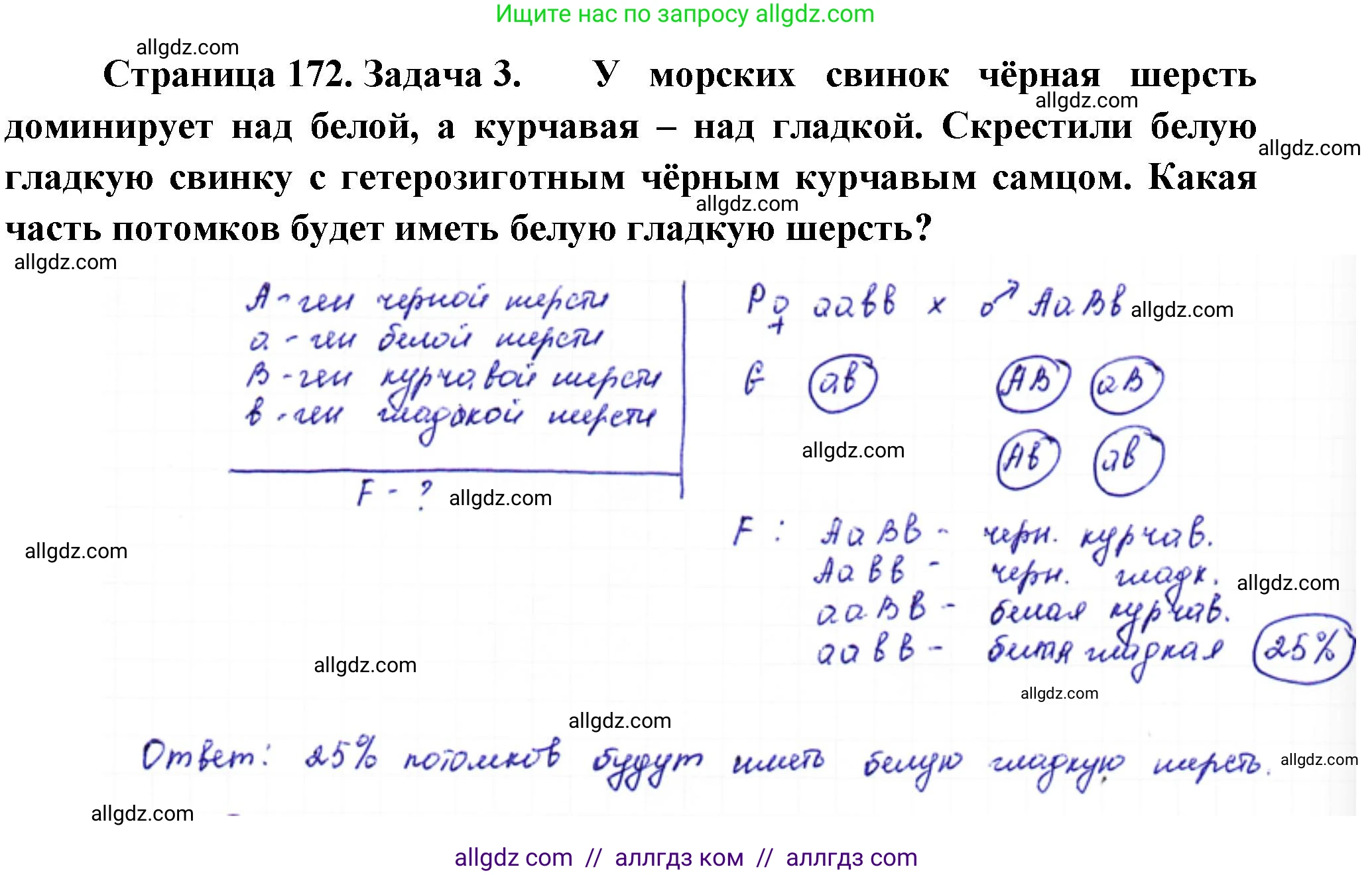 Биология, 10 класс Учебник, авторы: Пасечник Владимир Васильевич, Каменский Андрей Александрович, Рубцов Александр Михайлович, Швецов Глеб Геннадьевич, Абовян Леван Арташесович, Гапонюк Зоя Георгиевна, издательство Просвещение, Москва, 2024, коричневого цвета, Часть 2, страница 172, номер 3, Решение