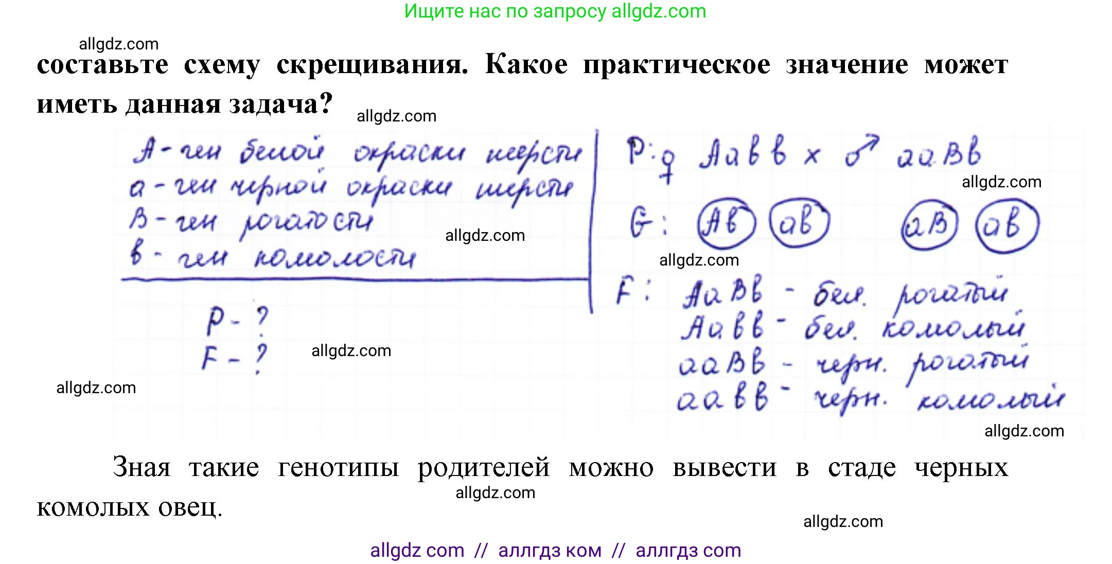 Биология, 10 класс Учебник, авторы: Пасечник Владимир Васильевич, Каменский Андрей Александрович, Рубцов Александр Михайлович, Швецов Глеб Геннадьевич, Абовян Леван Арташесович, Гапонюк Зоя Георгиевна, издательство Просвещение, Москва, 2024, коричневого цвета, Часть 2, страница 172, номер 4, Решение (продолжение 2)