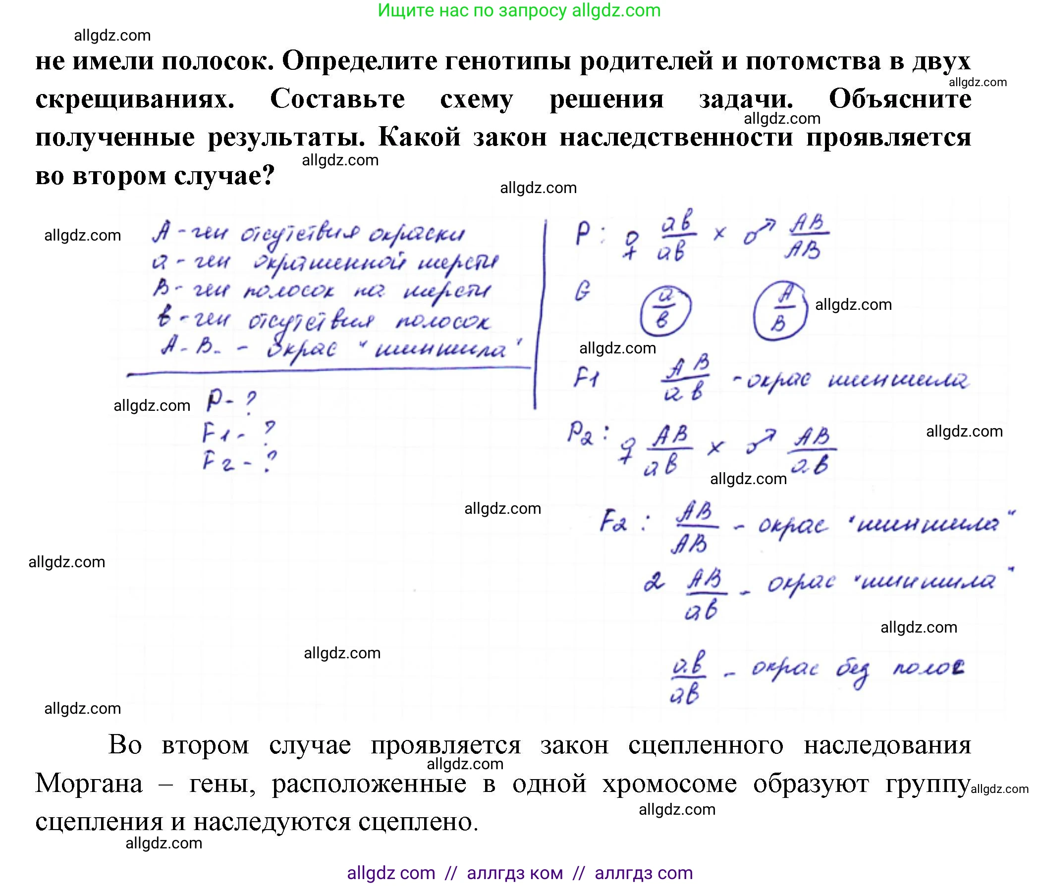 Биология, 10 класс Учебник, авторы: Пасечник Владимир Васильевич, Каменский Андрей Александрович, Рубцов Александр Михайлович, Швецов Глеб Геннадьевич, Абовян Леван Арташесович, Гапонюк Зоя Георгиевна, издательство Просвещение, Москва, 2024, коричневого цвета, Часть 2, страница 176, номер 1, Решение (продолжение 2)