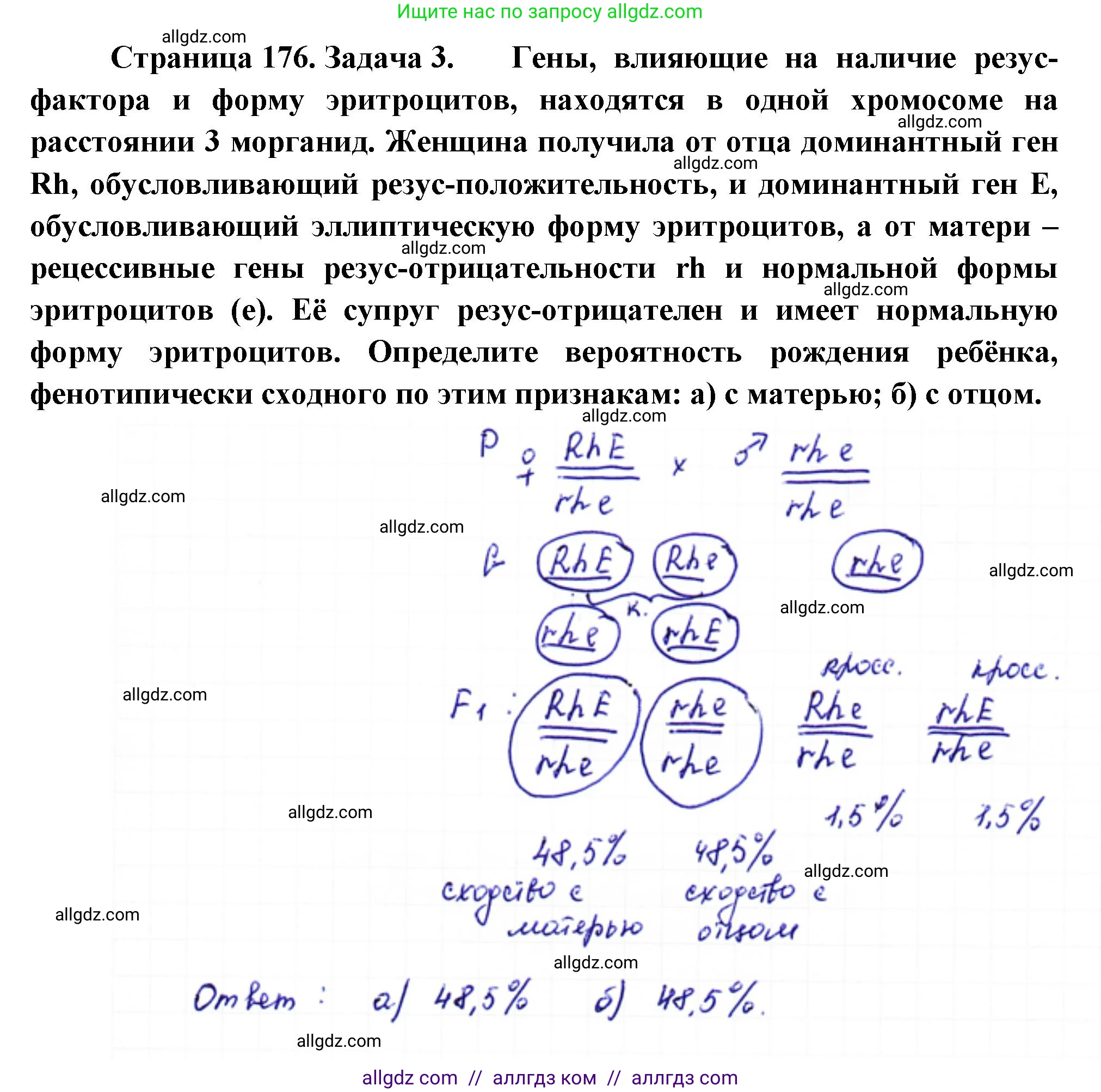 Биология, 10 класс Учебник, авторы: Пасечник Владимир Васильевич, Каменский Андрей Александрович, Рубцов Александр Михайлович, Швецов Глеб Геннадьевич, Абовян Леван Арташесович, Гапонюк Зоя Георгиевна, издательство Просвещение, Москва, 2024, коричневого цвета, Часть 2, страница 176, номер 3, Решение