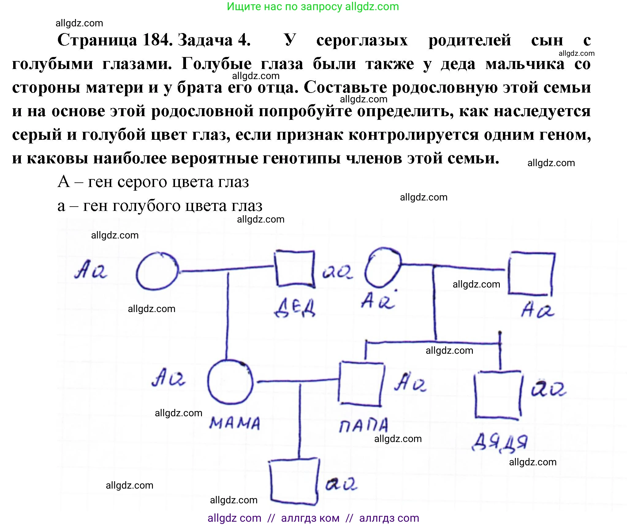 Биология, 10 класс Учебник, авторы: Пасечник Владимир Васильевич, Каменский Андрей Александрович, Рубцов Александр Михайлович, Швецов Глеб Геннадьевич, Абовян Леван Арташесович, Гапонюк Зоя Георгиевна, издательство Просвещение, Москва, 2024, коричневого цвета, Часть 2, страница 184, номер 4, Решение