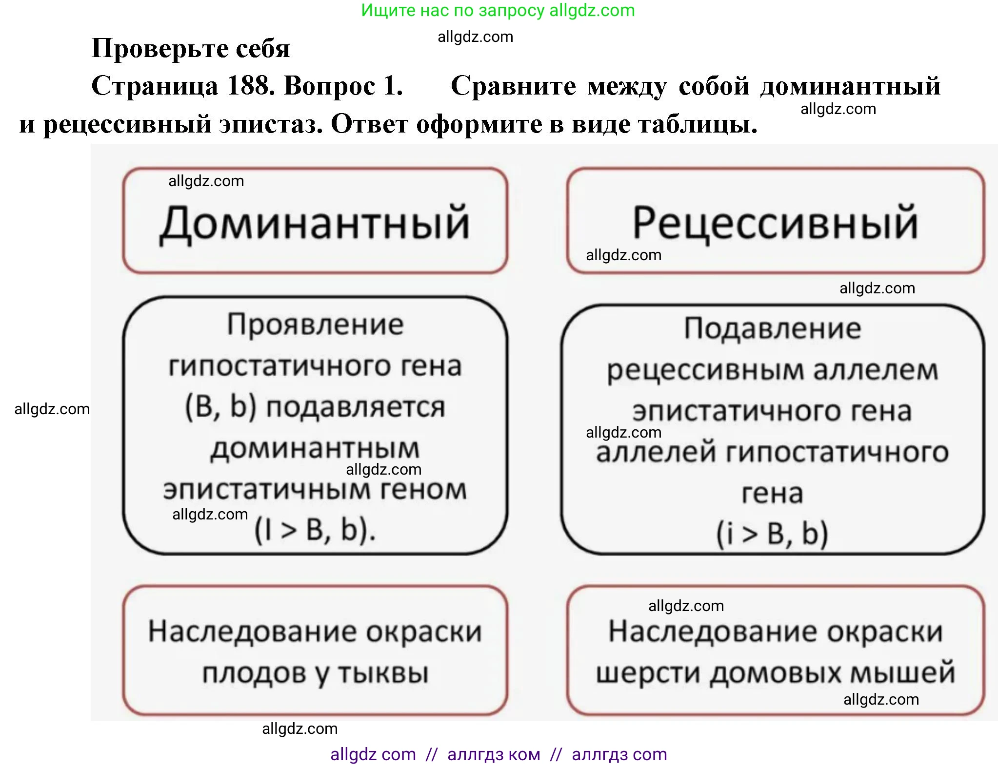 Биология, 10 класс Учебник, авторы: Пасечник Владимир Васильевич, Каменский Андрей Александрович, Рубцов Александр Михайлович, Швецов Глеб Геннадьевич, Абовян Леван Арташесович, Гапонюк Зоя Георгиевна, издательство Просвещение, Москва, 2024, коричневого цвета, Часть 2, страница 188, номер 1, Решение