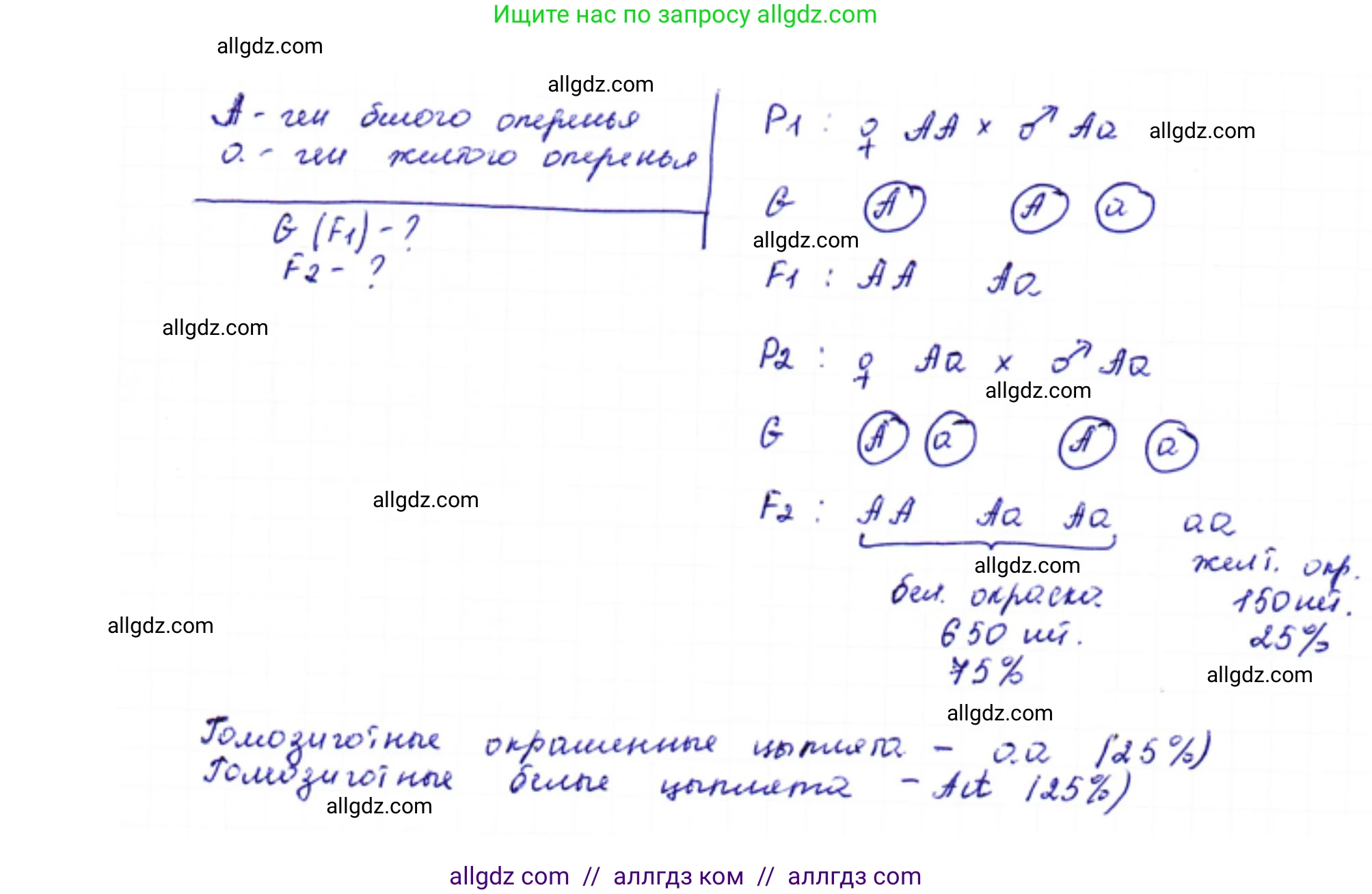 Биология, 10 класс Учебник, авторы: Пасечник Владимир Васильевич, Каменский Андрей Александрович, Рубцов Александр Михайлович, Швецов Глеб Геннадьевич, Абовян Леван Арташесович, Гапонюк Зоя Георгиевна, издательство Просвещение, Москва, 2024, коричневого цвета, Часть 2, страница 190, номер 2, Решение (продолжение 2)