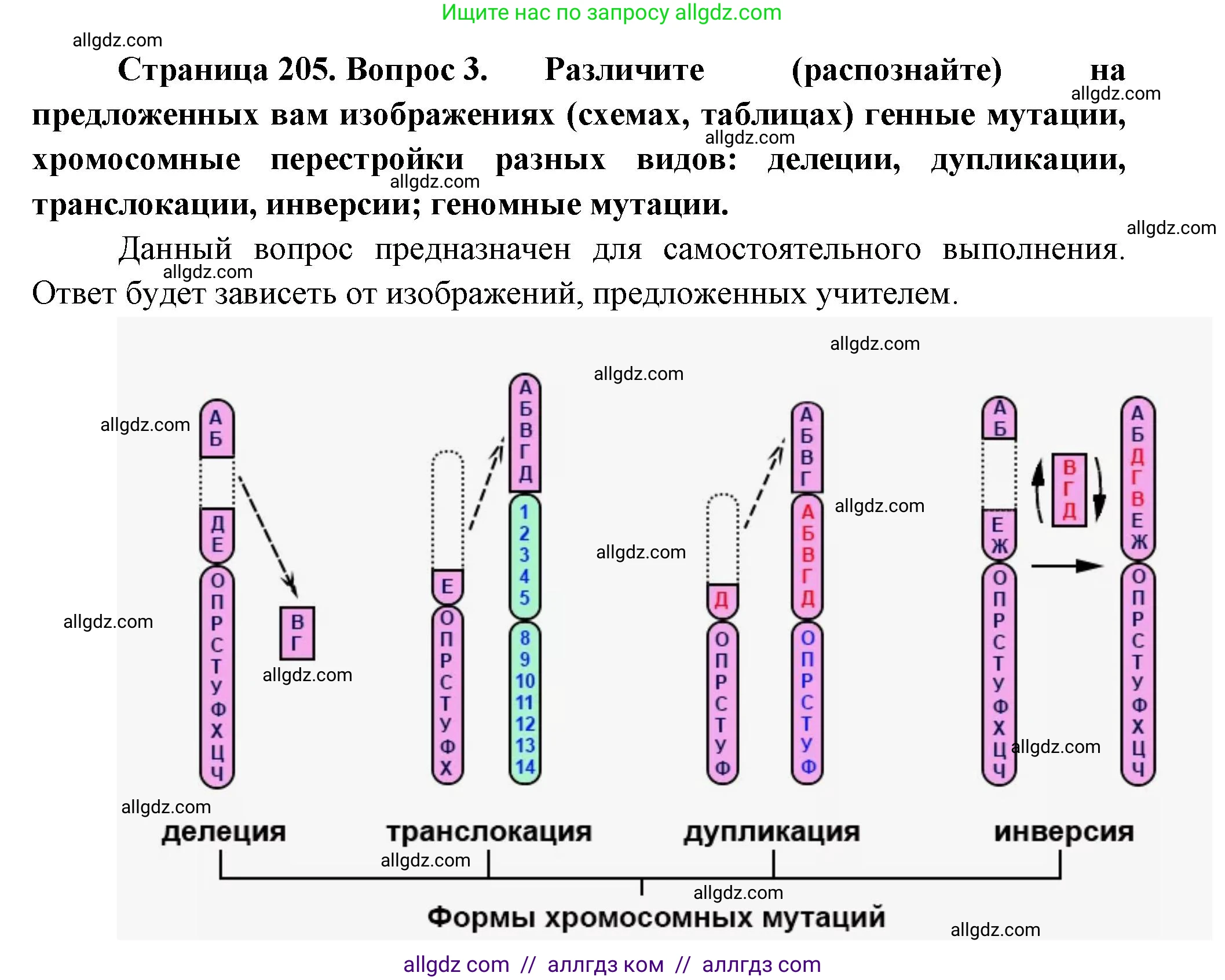 Биология, 10 класс Учебник, авторы: Пасечник Владимир Васильевич, Каменский Андрей Александрович, Рубцов Александр Михайлович, Швецов Глеб Геннадьевич, Абовян Леван Арташесович, Гапонюк Зоя Георгиевна, издательство Просвещение, Москва, 2024, коричневого цвета, Часть 2, страница 205, номер 3, Решение