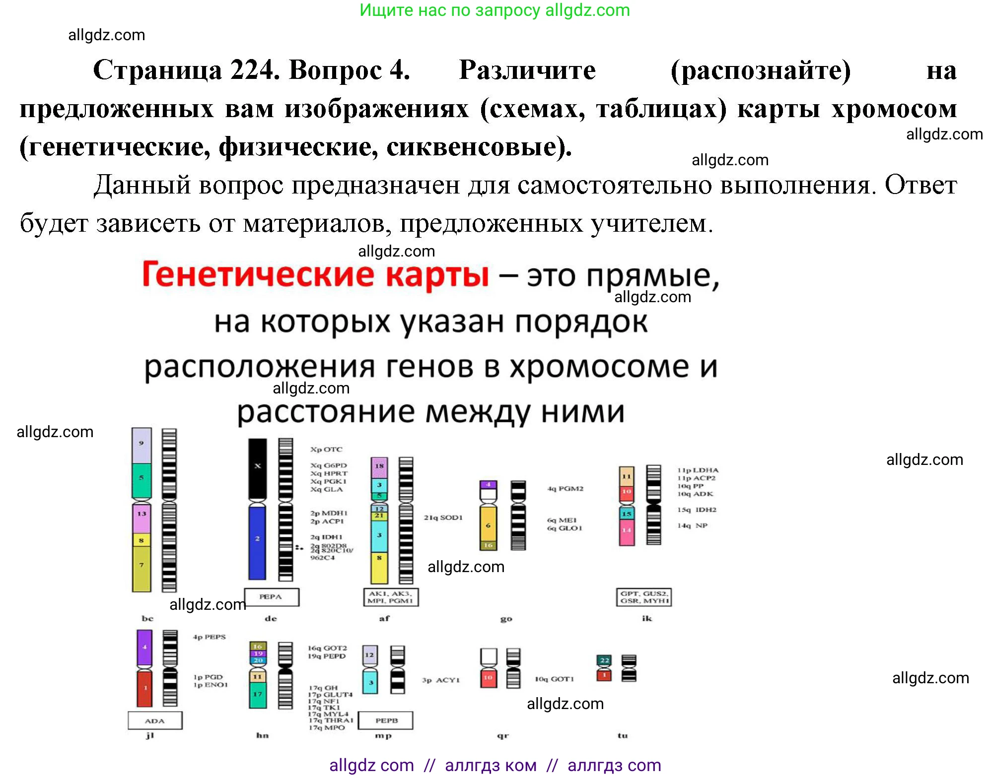 Биология, 10 класс Учебник, авторы: Пасечник Владимир Васильевич, Каменский Андрей Александрович, Рубцов Александр Михайлович, Швецов Глеб Геннадьевич, Абовян Леван Арташесович, Гапонюк Зоя Георгиевна, издательство Просвещение, Москва, 2024, коричневого цвета, Часть 2, страница 224, номер 4, Решение
