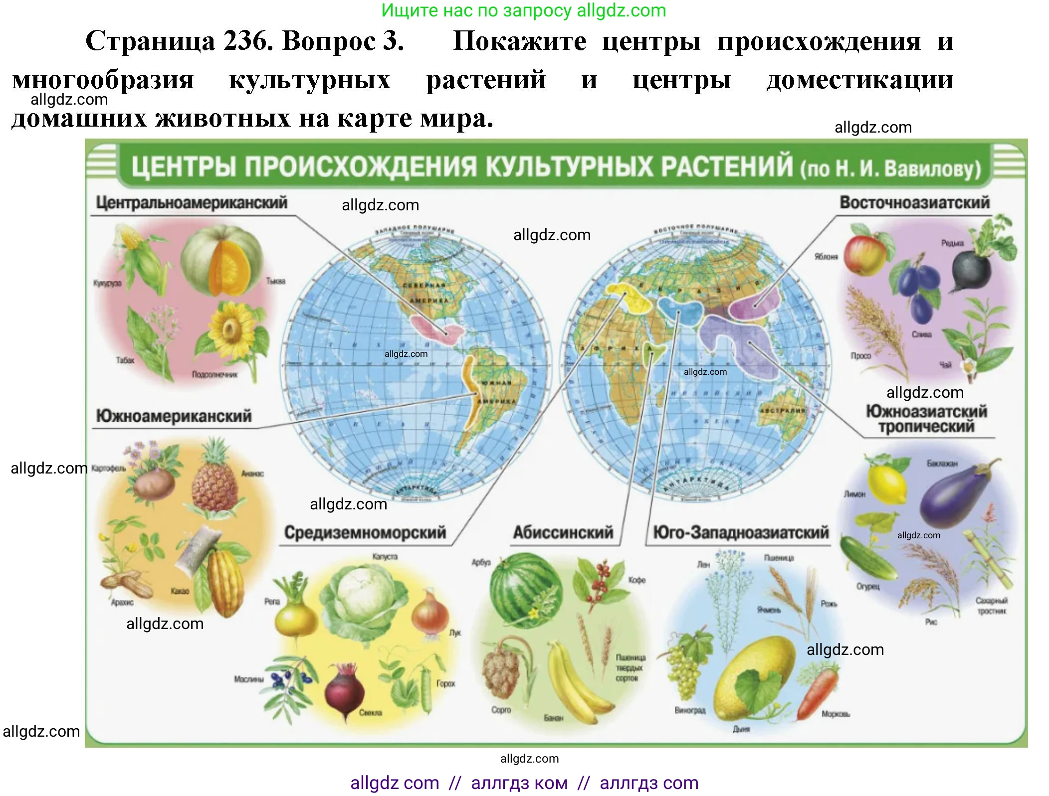 Биология, 10 класс Учебник, авторы: Пасечник Владимир Васильевич, Каменский Андрей Александрович, Рубцов Александр Михайлович, Швецов Глеб Геннадьевич, Абовян Леван Арташесович, Гапонюк Зоя Георгиевна, издательство Просвещение, Москва, 2024, коричневого цвета, Часть 2, страница 236, номер 3, Решение