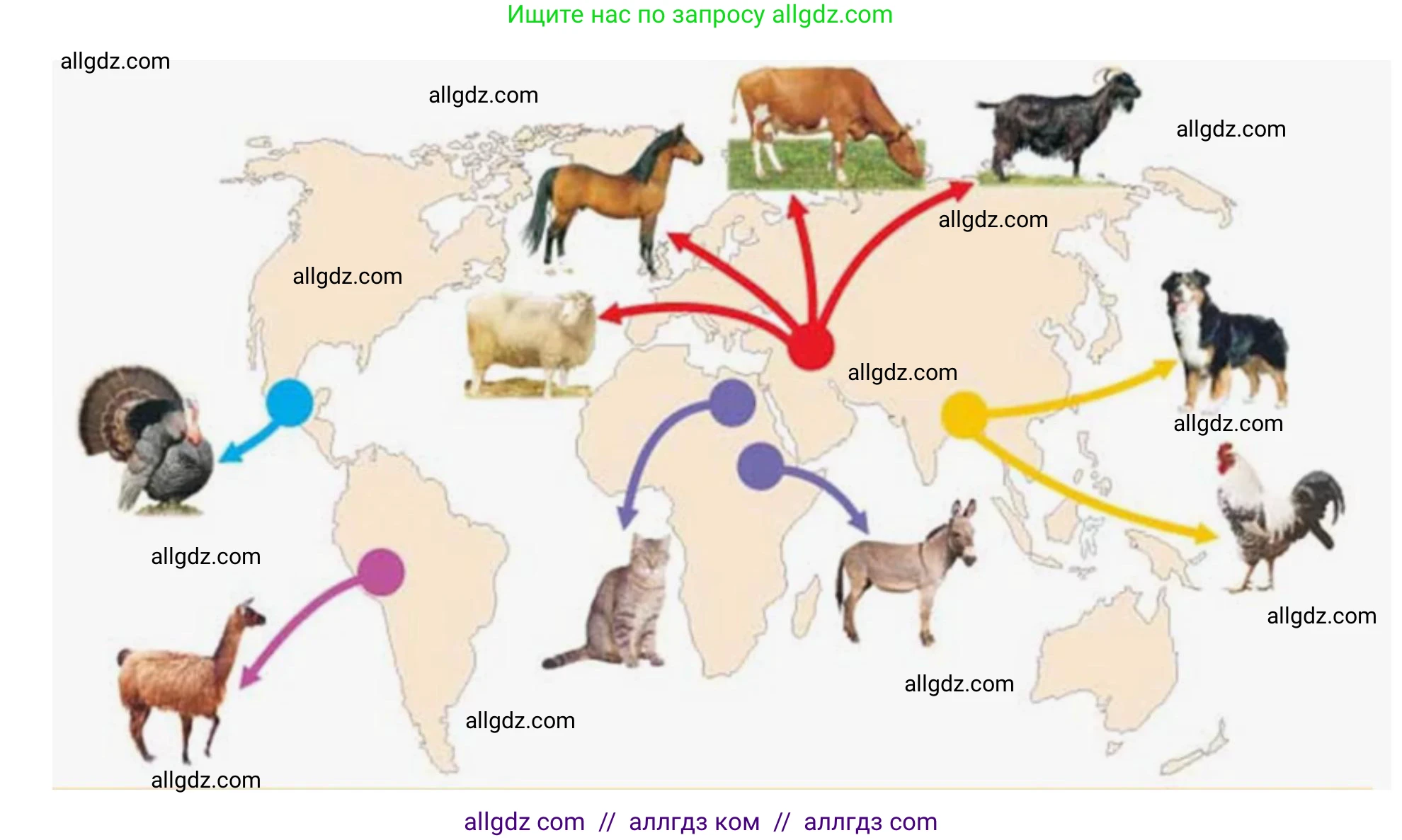 Биология, 10 класс Учебник, авторы: Пасечник Владимир Васильевич, Каменский Андрей Александрович, Рубцов Александр Михайлович, Швецов Глеб Геннадьевич, Абовян Леван Арташесович, Гапонюк Зоя Георгиевна, издательство Просвещение, Москва, 2024, коричневого цвета, Часть 2, страница 236, номер 3, Решение (продолжение 2)