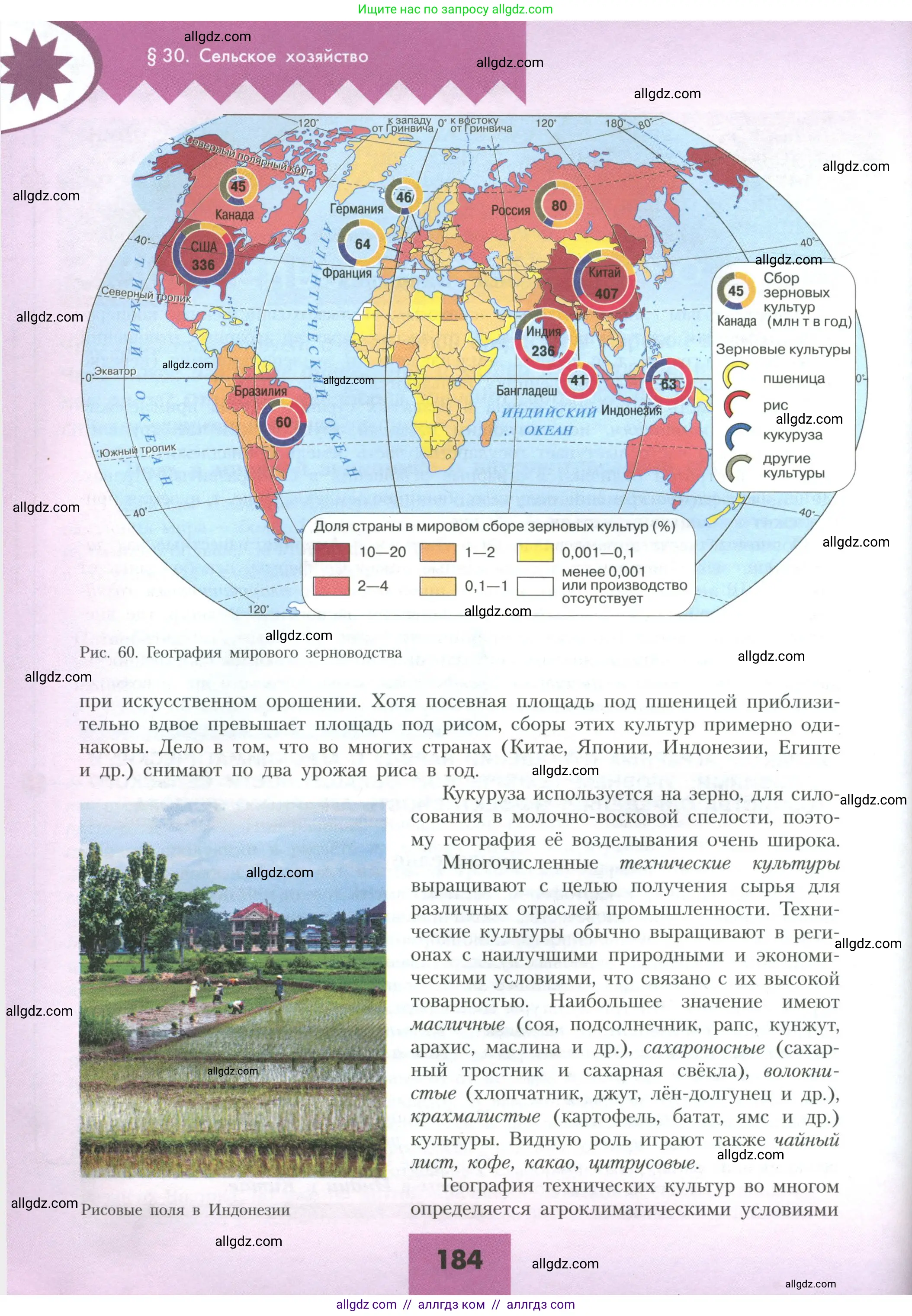 География, 10 класс Учебник, авторы: Гладкий Юрий Никифорович, Николина Вера Викторовна, издательство Просвещение, Москва, 2019, жёлтого цвета, страница 184