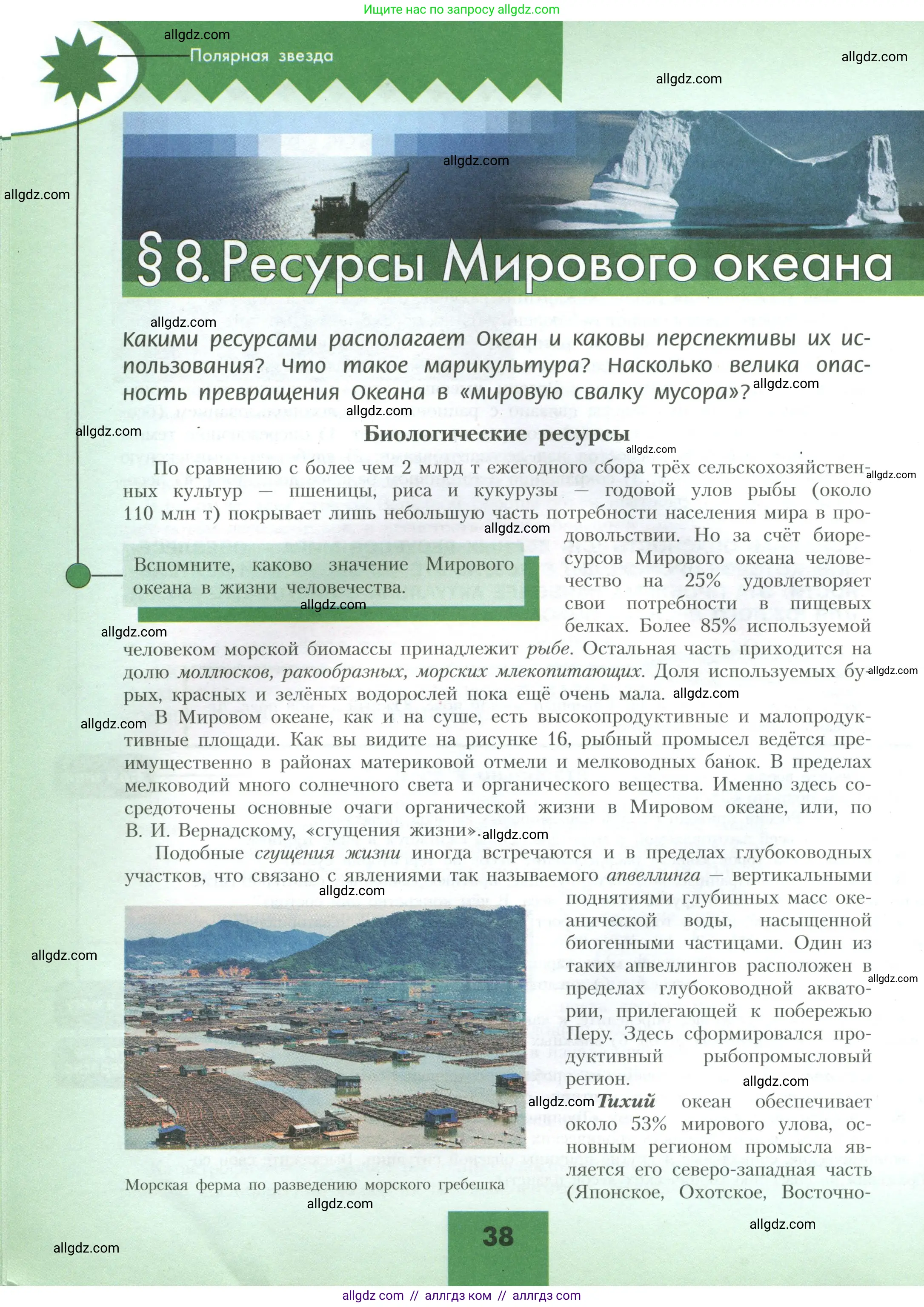 География, 10 класс Учебник, авторы: Гладкий Юрий Никифорович, Николина Вера Викторовна, издательство Просвещение, Москва, 2019, жёлтого цвета, страница 38