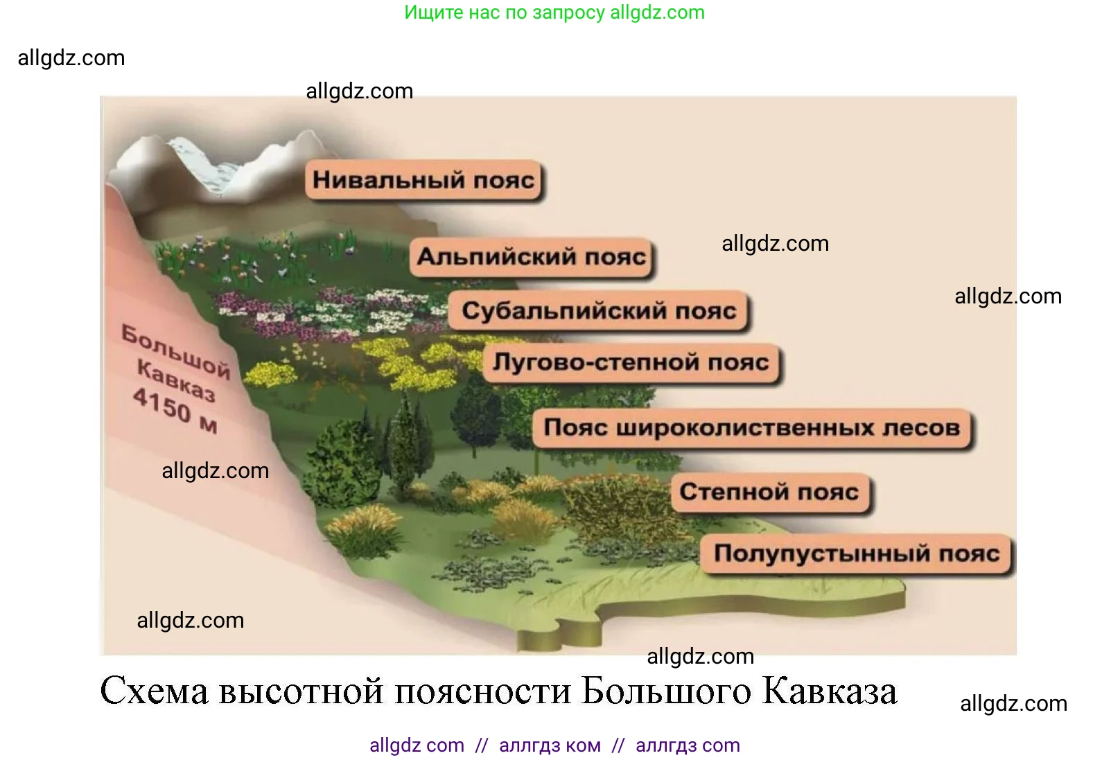 География, 10 класс Учебник, авторы: Гладкий Юрий Никифорович, Николина Вера Викторовна, издательство Просвещение, Москва, 2019, жёлтого цвета, страница 244, номер 4, Решение (продолжение 2)