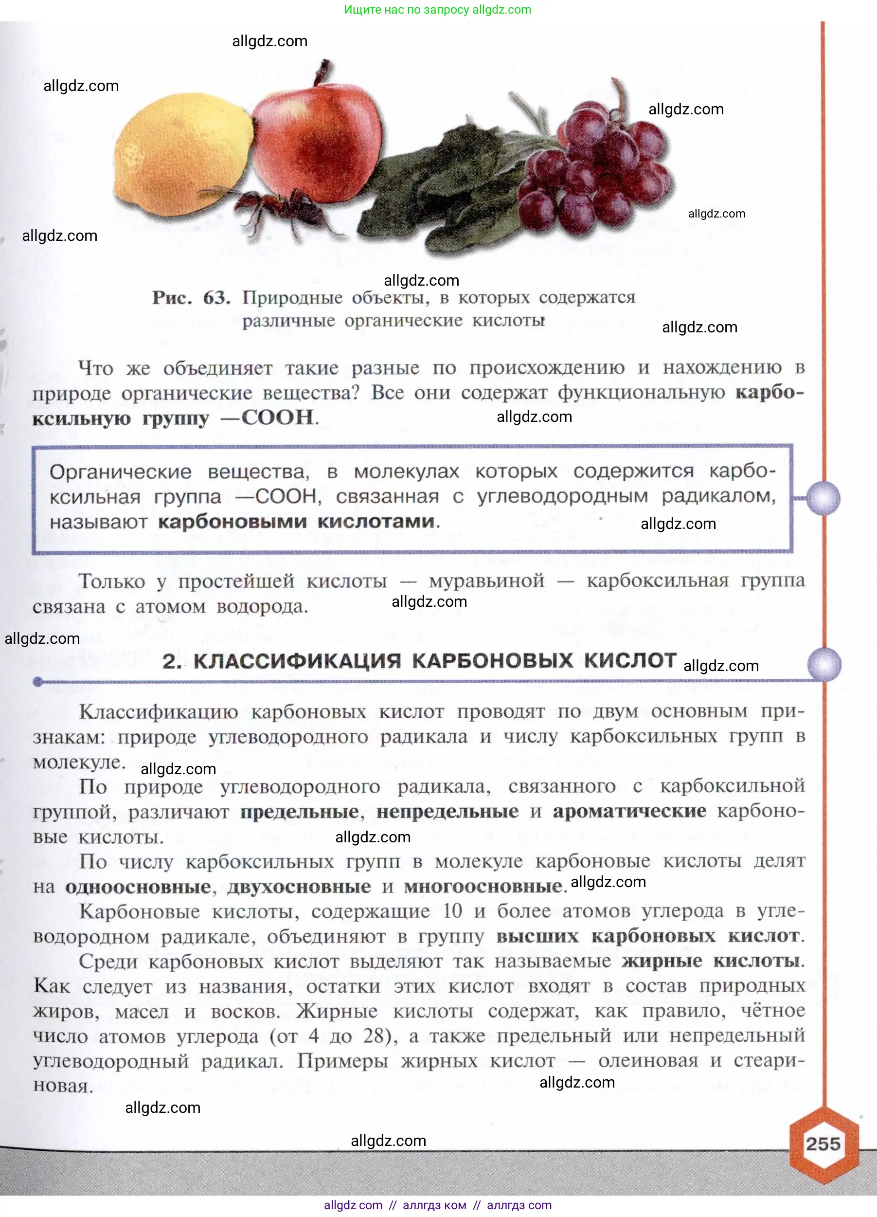 Химия, 10 класс Учебник, авторы: Габриелян Олег Саргисович, Остроумов Игорь Геннадьевич, Сладков Сергей Анатольевич, издательство Просвещение, Москва, 2021, белого цвета, страница 255