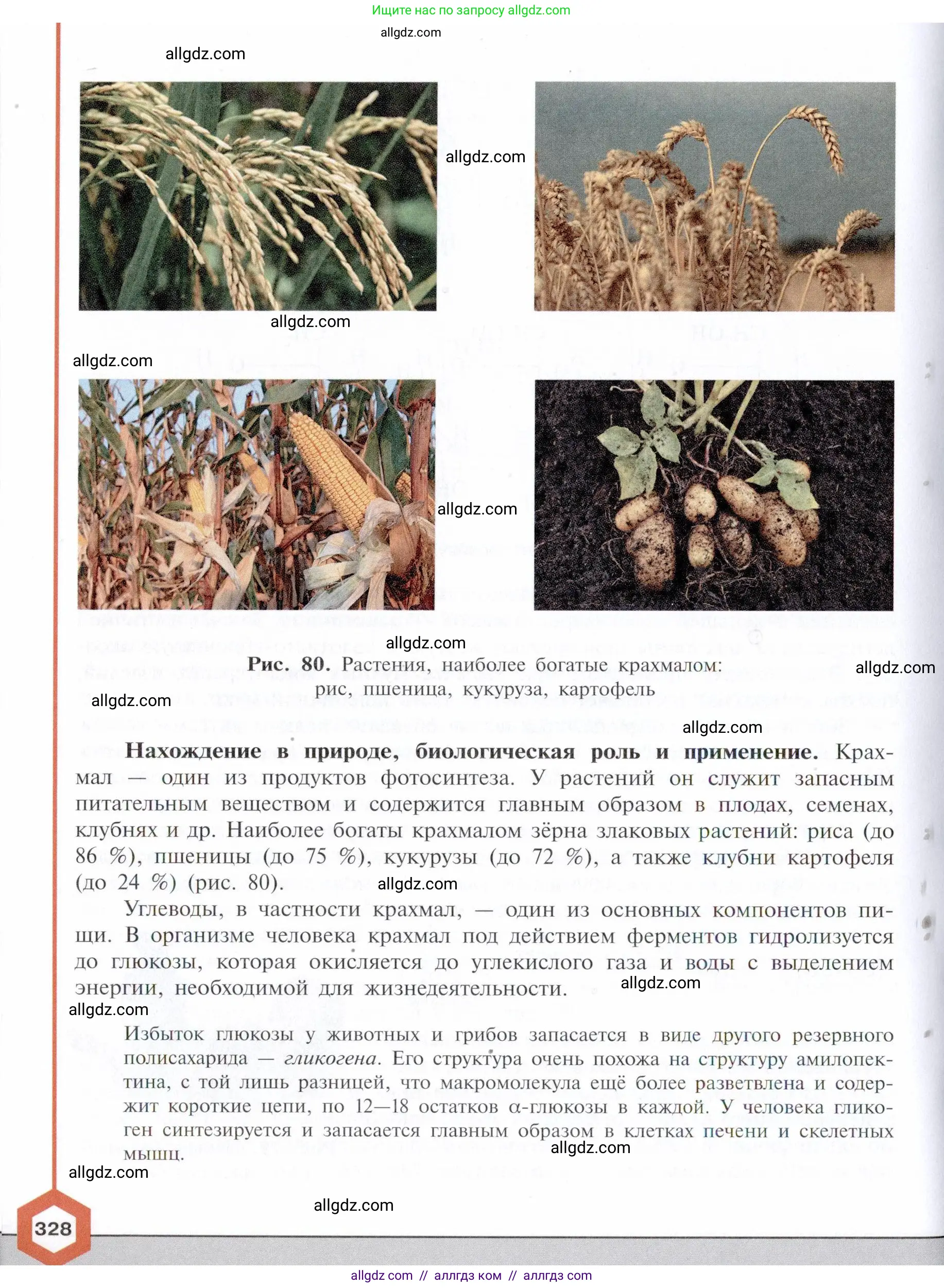 Химия, 10 класс Учебник, авторы: Габриелян Олег Саргисович, Остроумов Игорь Геннадьевич, Сладков Сергей Анатольевич, издательство Просвещение, Москва, 2021, белого цвета, страница 328