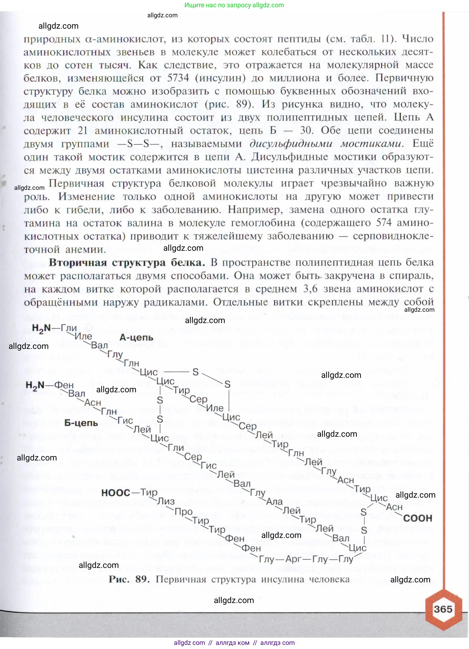 Химия, 10 класс Учебник, авторы: Габриелян Олег Саргисович, Остроумов Игорь Геннадьевич, Сладков Сергей Анатольевич, издательство Просвещение, Москва, 2021, белого цвета, страница 365