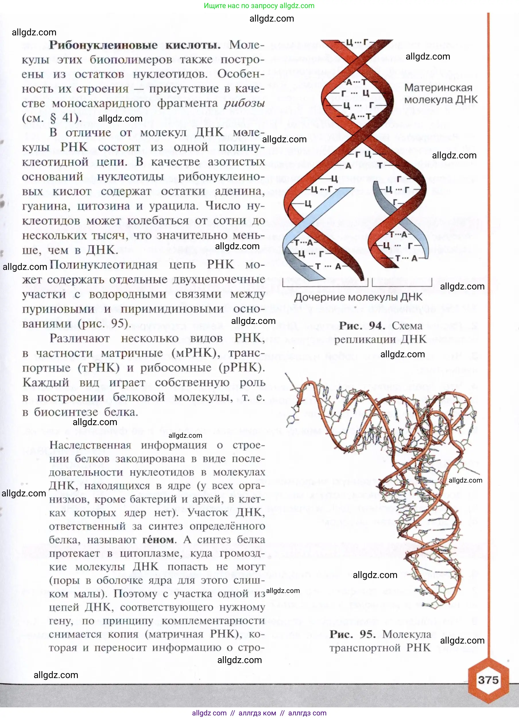 Химия, 10 класс Учебник, авторы: Габриелян Олег Саргисович, Остроумов Игорь Геннадьевич, Сладков Сергей Анатольевич, издательство Просвещение, Москва, 2021, белого цвета, страница 375