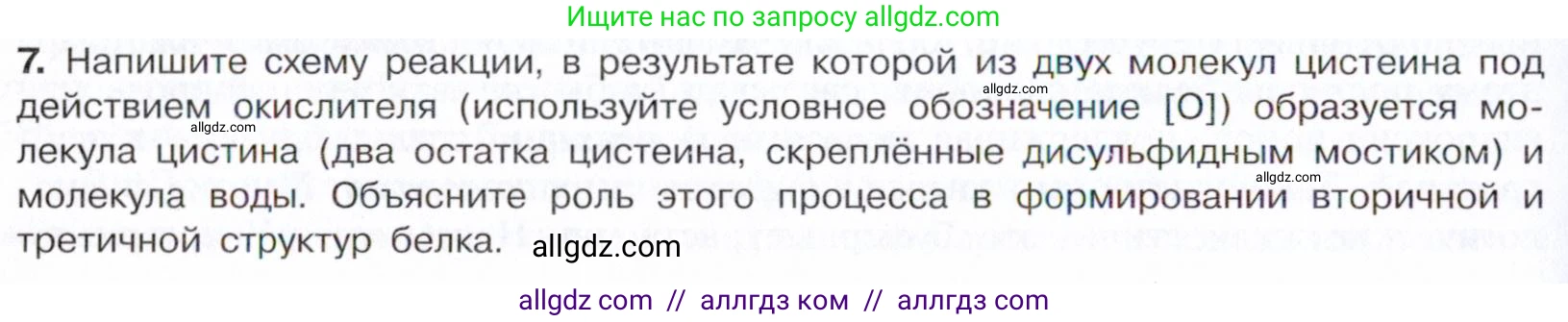 Химия, 10 класс Учебник, авторы: Габриелян Олег Саргисович, Остроумов Игорь Геннадьевич, Сладков Сергей Анатольевич, издательство Просвещение, Москва, 2021, белого цвета, страница 370, номер 7, Условие