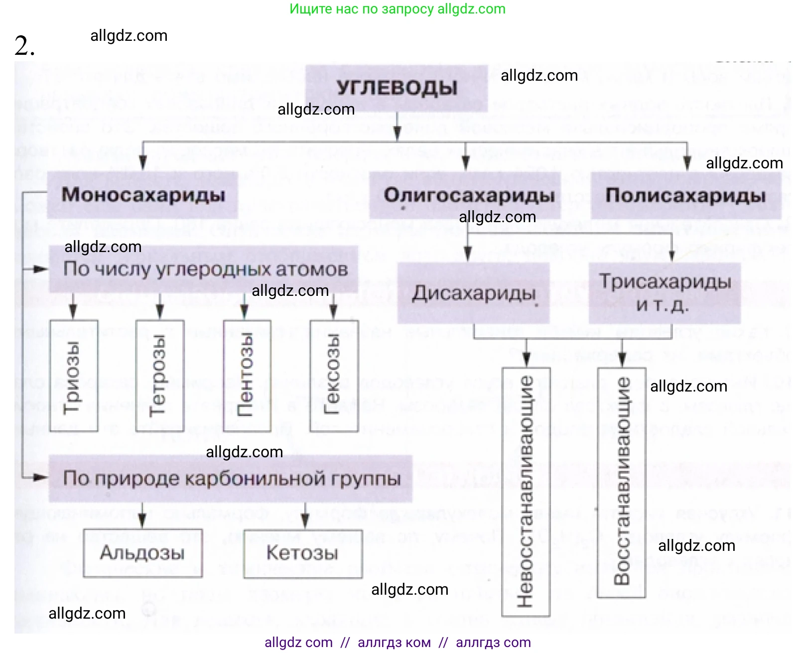 Химия, 10 класс Учебник, авторы: Габриелян Олег Саргисович, Остроумов Игорь Геннадьевич, Сладков Сергей Анатольевич, издательство Просвещение, Москва, 2021, белого цвета, страница 305, номер 2, Решение