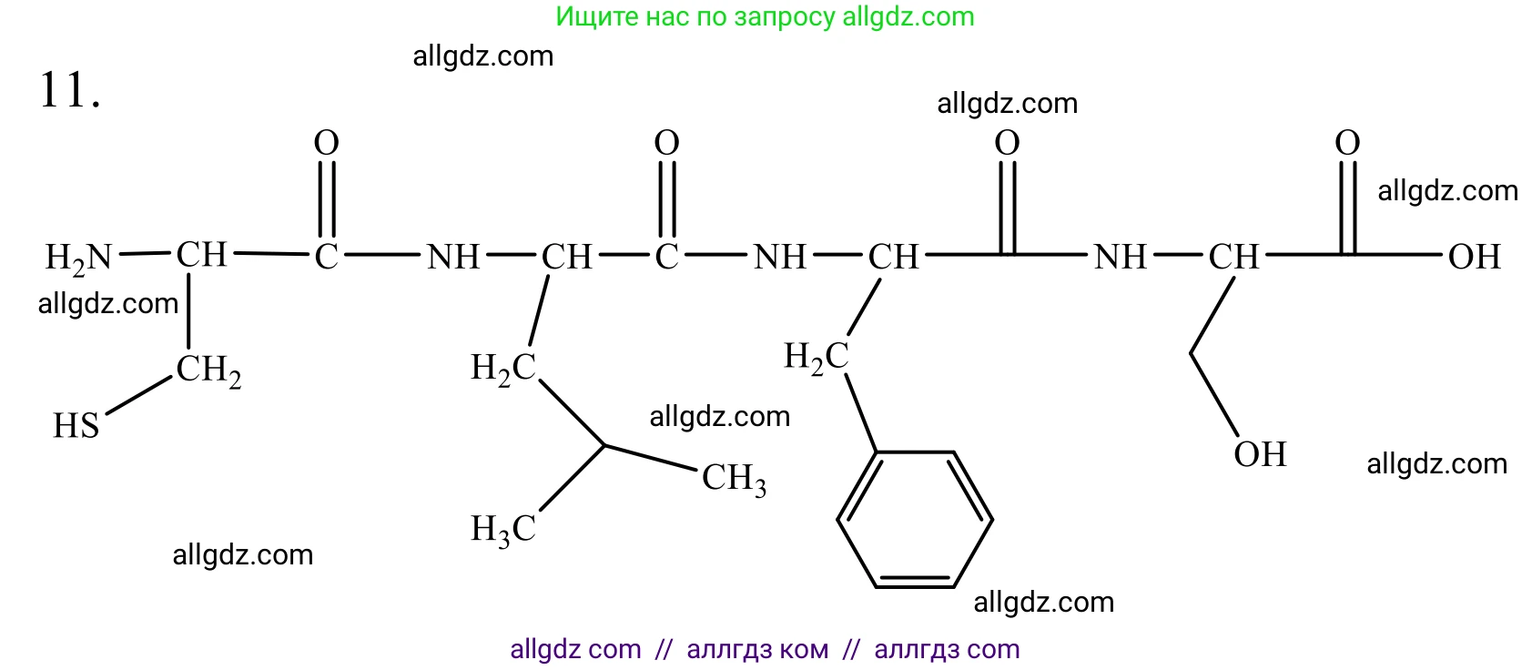 Химия, 10 класс Учебник, авторы: Габриелян Олег Саргисович, Остроумов Игорь Геннадьевич, Сладков Сергей Анатольевич, издательство Просвещение, Москва, 2021, белого цвета, страница 363, номер 11, Решение