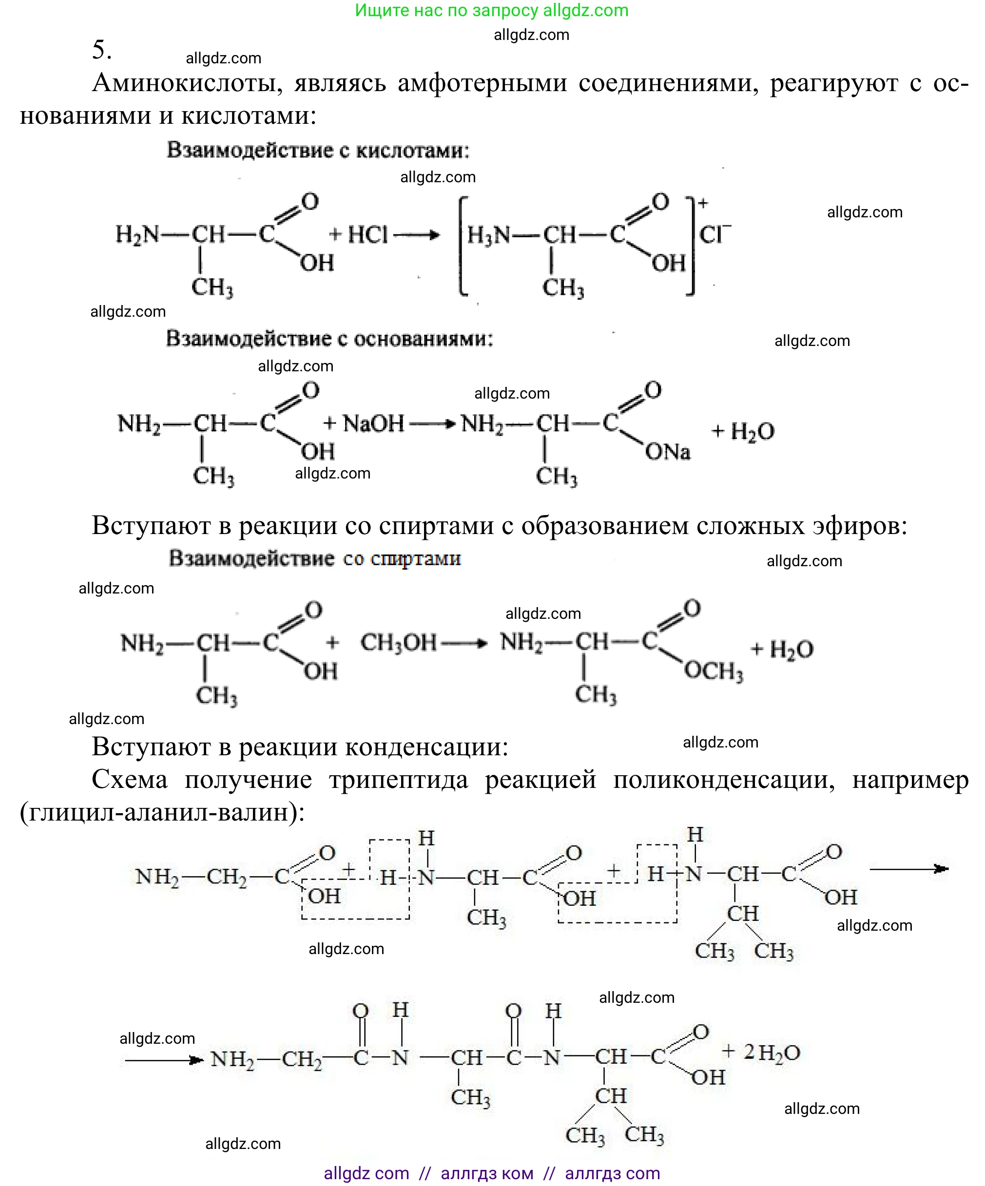 Химия, 10 класс Учебник, авторы: Габриелян Олег Саргисович, Остроумов Игорь Геннадьевич, Сладков Сергей Анатольевич, издательство Просвещение, Москва, 2021, белого цвета, страница 362, номер 5, Решение