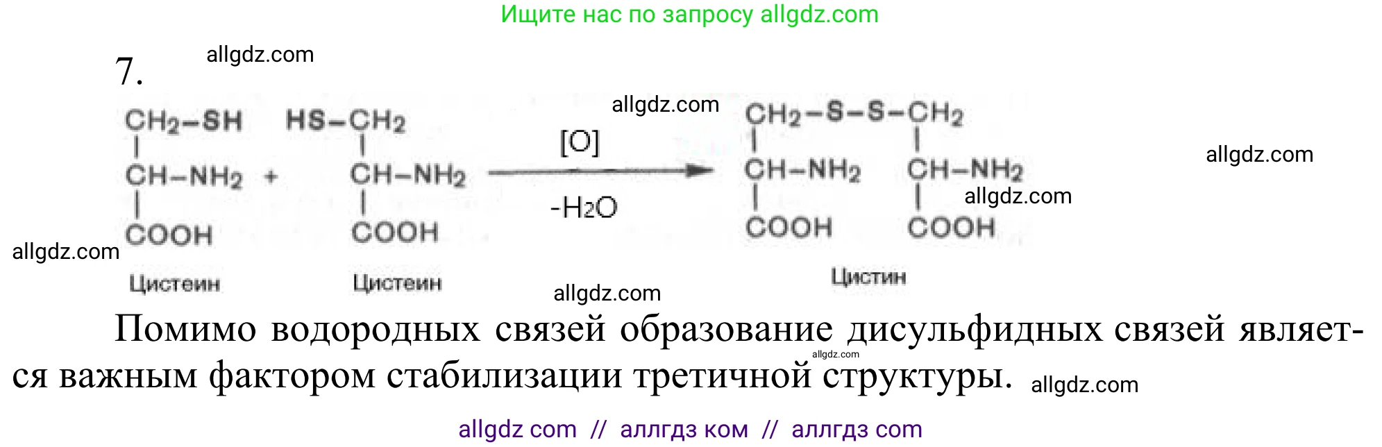 Химия, 10 класс Учебник, авторы: Габриелян Олег Саргисович, Остроумов Игорь Геннадьевич, Сладков Сергей Анатольевич, издательство Просвещение, Москва, 2021, белого цвета, страница 370, номер 7, Решение