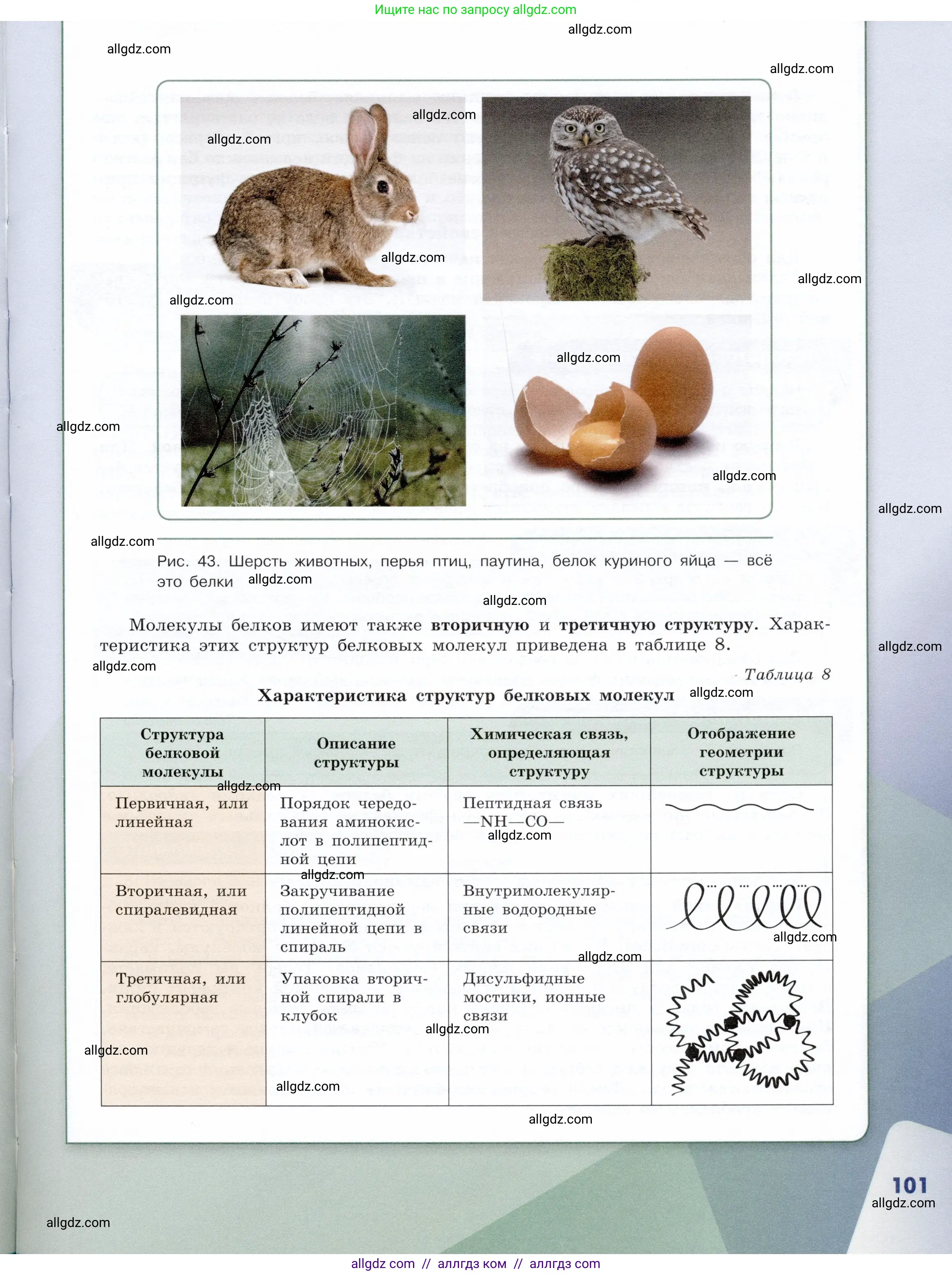 Химия, 10 класс Учебник, авторы: Габриелян Олег Саргисович, Остроумов Игорь Геннадьевич, Сладков Сергей Анатольевич, издательство Просвещение, Москва, 2019, белого цвета, страница 101