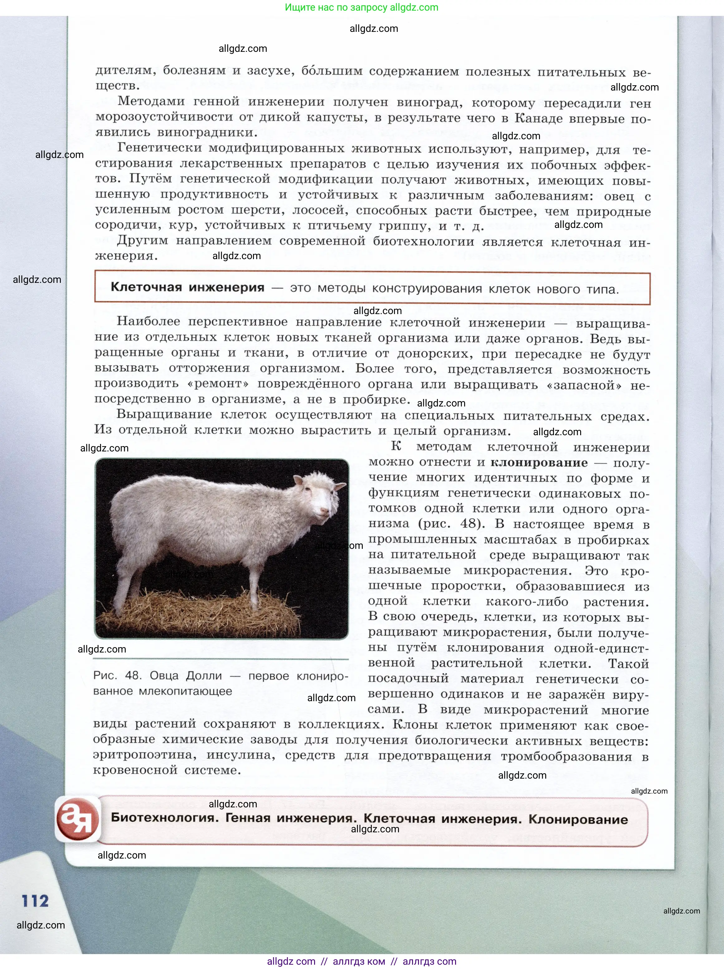 Химия, 10 класс Учебник, авторы: Габриелян Олег Саргисович, Остроумов Игорь Геннадьевич, Сладков Сергей Анатольевич, издательство Просвещение, Москва, 2019, белого цвета, страница 112