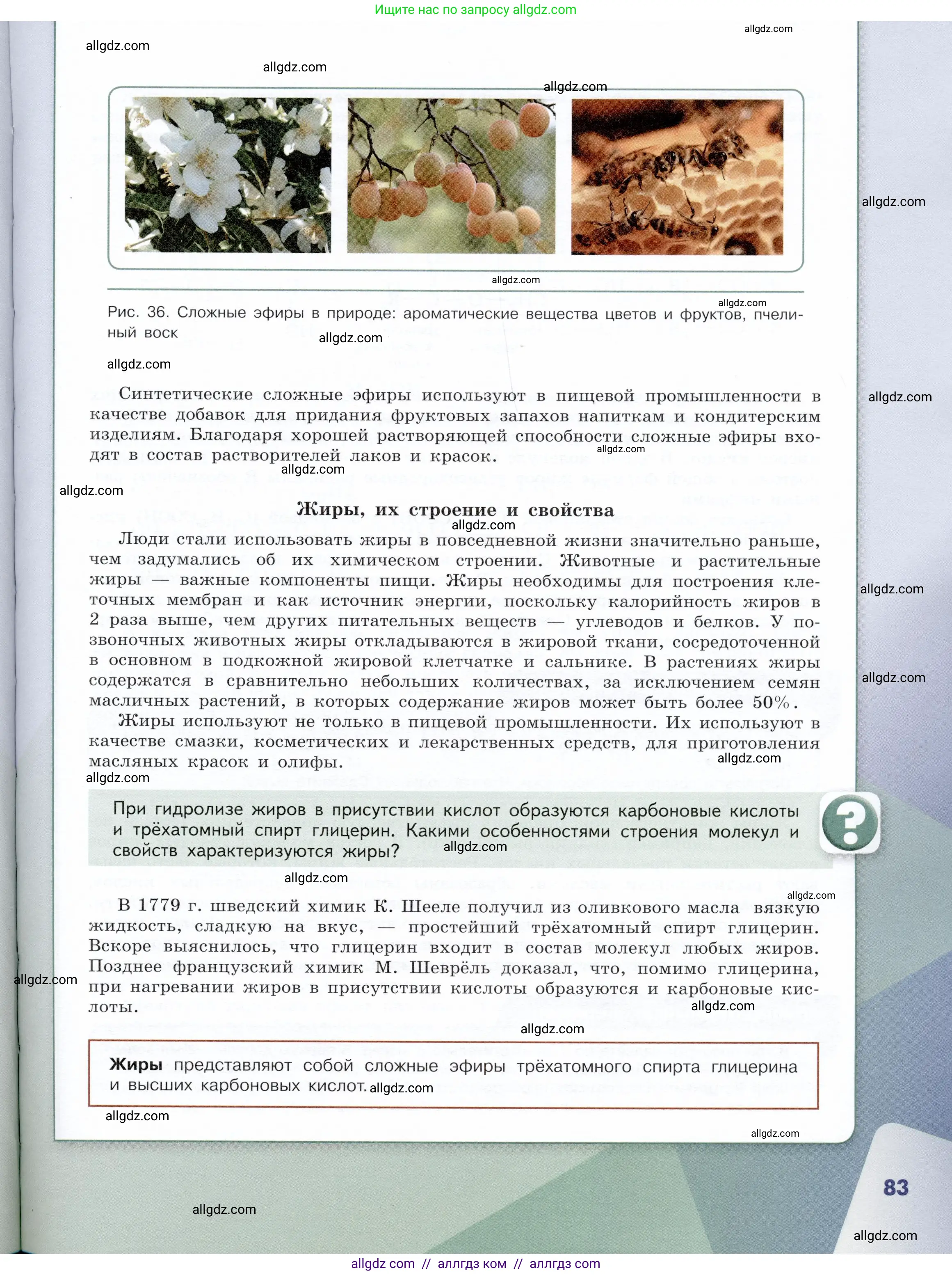 Химия, 10 класс Учебник, авторы: Габриелян Олег Саргисович, Остроумов Игорь Геннадьевич, Сладков Сергей Анатольевич, издательство Просвещение, Москва, 2019, белого цвета, страница 83