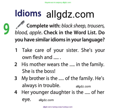 Английский язык (english), 11 класс Учебник (Student's book), авторы: Афанасьева Ольга Васильевна (Afanasyeva Olga), Дули Дженни (Dooley Jenny), Михеева Ирина Владимировна (Mikheeva Irina), Оби Боб (Obee Bob), Эванс Вирджиния (Evans Virginia), издательство Просвещение, Москва, 2019, страница 13, номер 9, Условие