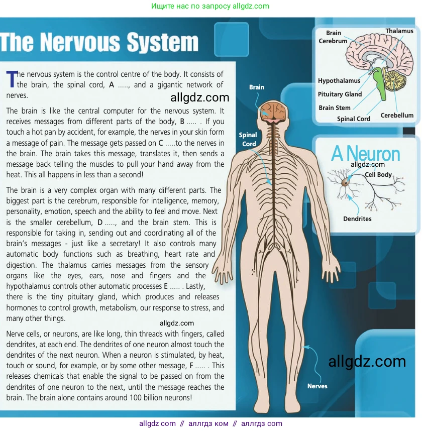 Английский язык (english), 11 класс Учебник (Student's book), авторы: Афанасьева Ольга Васильевна (Afanasyeva Olga), Дули Дженни (Dooley Jenny), Михеева Ирина Владимировна (Mikheeva Irina), Оби Боб (Obee Bob), Эванс Вирджиния (Evans Virginia), издательство Просвещение, Москва, 2019, страница 40, номер 1, Условие (продолжение 2)