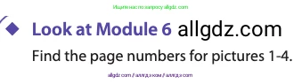 Английский язык (english), 11 класс Учебник (Student's book), авторы: Афанасьева Ольга Васильевна (Afanasyeva Olga), Дули Дженни (Dooley Jenny), Михеева Ирина Владимировна (Mikheeva Irina), Оби Боб (Obee Bob), Эванс Вирджиния (Evans Virginia), издательство Просвещение, Москва, 2019, страница 101, Условие