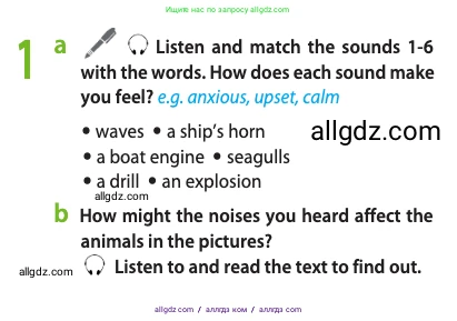 Английский язык (english), 11 класс Учебник (Student's book), авторы: Афанасьева Ольга Васильевна (Afanasyeva Olga), Дули Дженни (Dooley Jenny), Михеева Ирина Владимировна (Mikheeva Irina), Оби Боб (Obee Bob), Эванс Вирджиния (Evans Virginia), издательство Просвещение, Москва, 2019, страница 115, номер 1, Условие