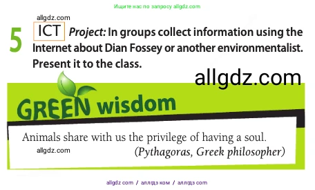 Английский язык (english), 11 класс Учебник (Student's book), авторы: Афанасьева Ольга Васильевна (Afanasyeva Olga), Дули Дженни (Dooley Jenny), Михеева Ирина Владимировна (Mikheeva Irina), Оби Боб (Obee Bob), Эванс Вирджиния (Evans Virginia), издательство Просвещение, Москва, 2019, страница 133, номер 5, Условие