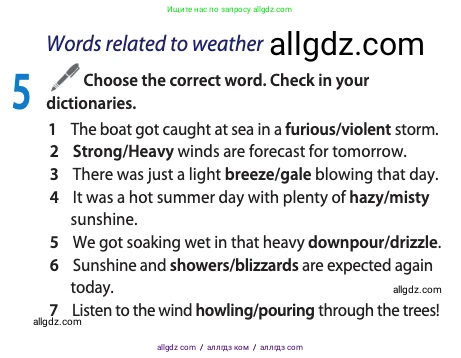 Английский язык (english), 11 класс Учебник (Student's book), авторы: Афанасьева Ольга Васильевна (Afanasyeva Olga), Дули Дженни (Dooley Jenny), Михеева Ирина Владимировна (Mikheeva Irina), Оби Боб (Obee Bob), Эванс Вирджиния (Evans Virginia), издательство Просвещение, Москва, 2019, страница 145, номер 5, Условие