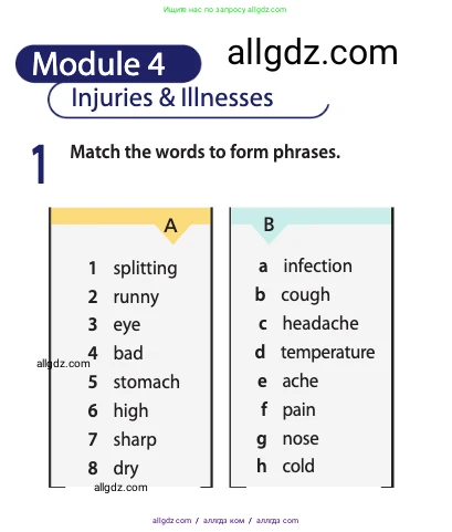 Английский язык (english), 11 класс Учебник (Student's book), авторы: Афанасьева Ольга Васильевна (Afanasyeva Olga), Дули Дженни (Dooley Jenny), Михеева Ирина Владимировна (Mikheeva Irina), Оби Боб (Obee Bob), Эванс Вирджиния (Evans Virginia), издательство Просвещение, Москва, 2019, страница 171, номер 1, Условие