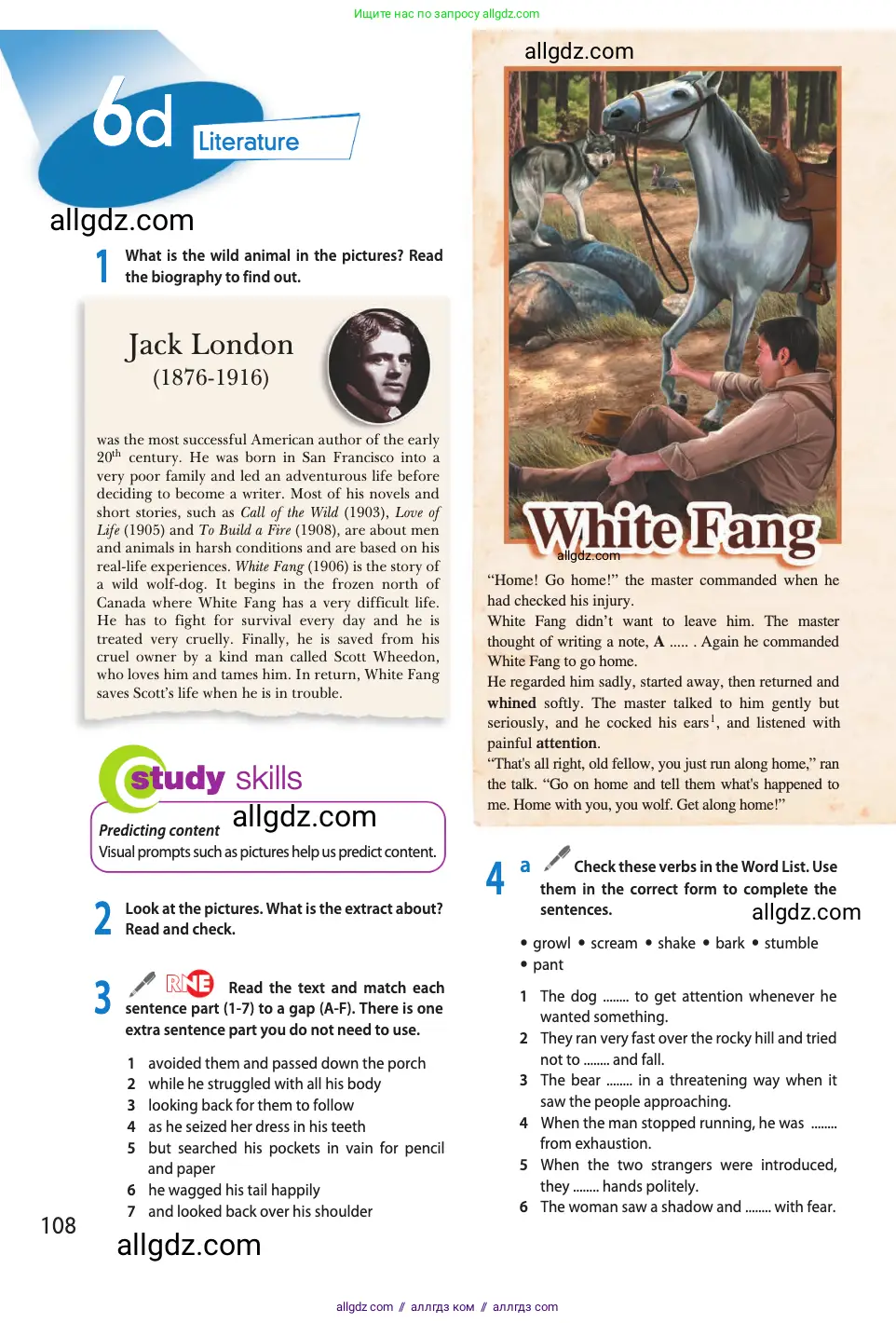 Английский язык (english), 11 класс Учебник (Student's book), авторы: Афанасьева Ольга Васильевна (Afanasyeva Olga), Дули Дженни (Dooley Jenny), Михеева Ирина Владимировна (Mikheeva Irina), Оби Боб (Obee Bob), Эванс Вирджиния (Evans Virginia), издательство Просвещение, Москва, 2019, страница 108