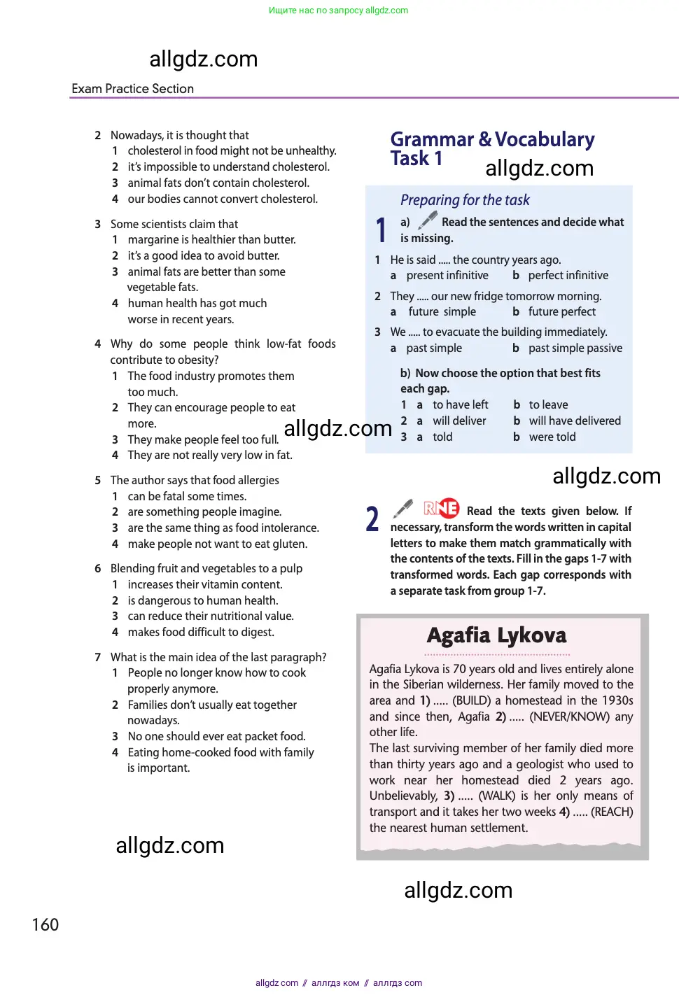 Английский язык (english), 11 класс Учебник (Student's book), авторы: Афанасьева Ольга Васильевна (Afanasyeva Olga), Дули Дженни (Dooley Jenny), Михеева Ирина Владимировна (Mikheeva Irina), Оби Боб (Obee Bob), Эванс Вирджиния (Evans Virginia), издательство Просвещение, Москва, 2019, страница 160