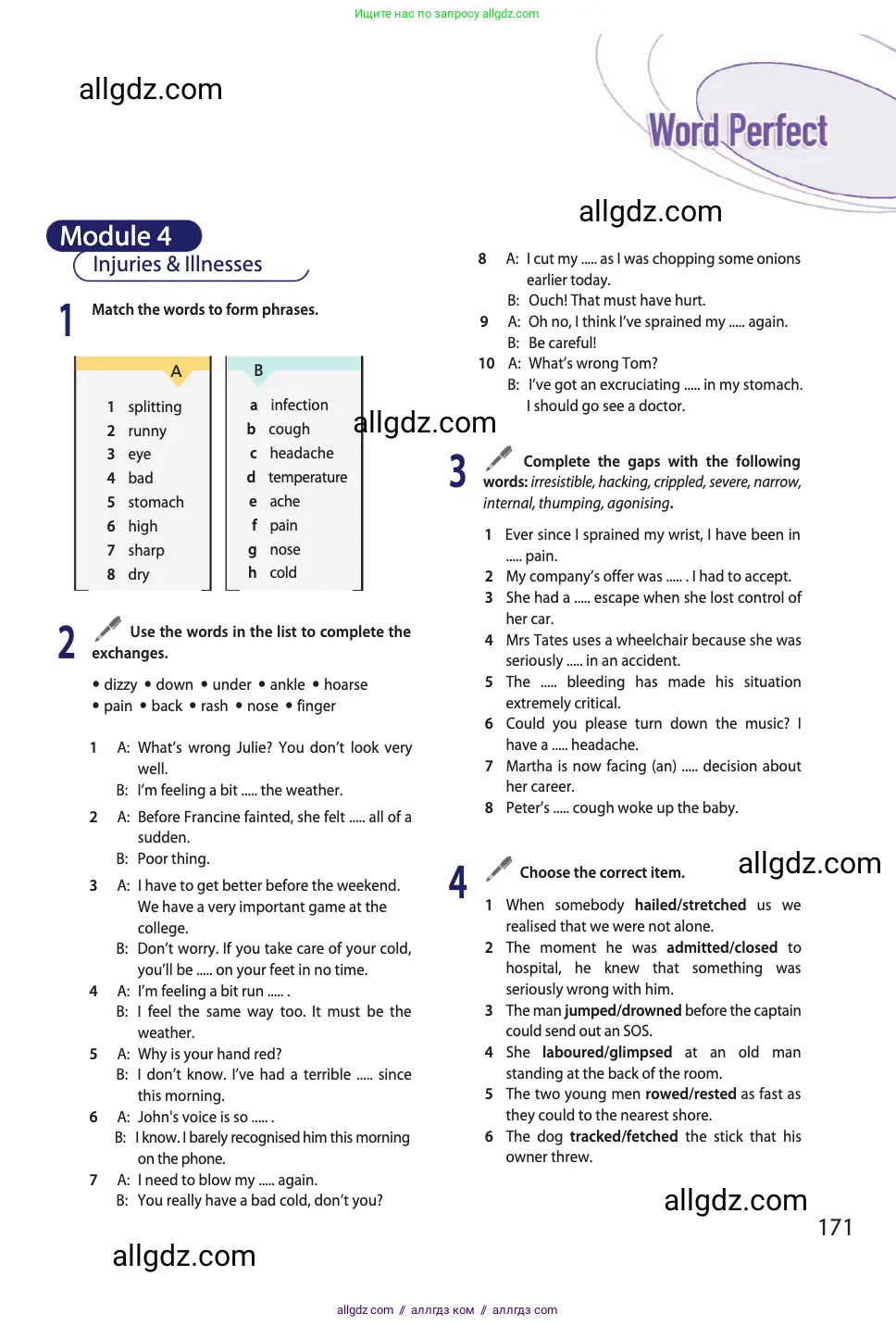 Английский язык (english), 11 класс Учебник (Student's book), авторы: Афанасьева Ольга Васильевна (Afanasyeva Olga), Дули Дженни (Dooley Jenny), Михеева Ирина Владимировна (Mikheeva Irina), Оби Боб (Obee Bob), Эванс Вирджиния (Evans Virginia), издательство Просвещение, Москва, 2019, страница 171