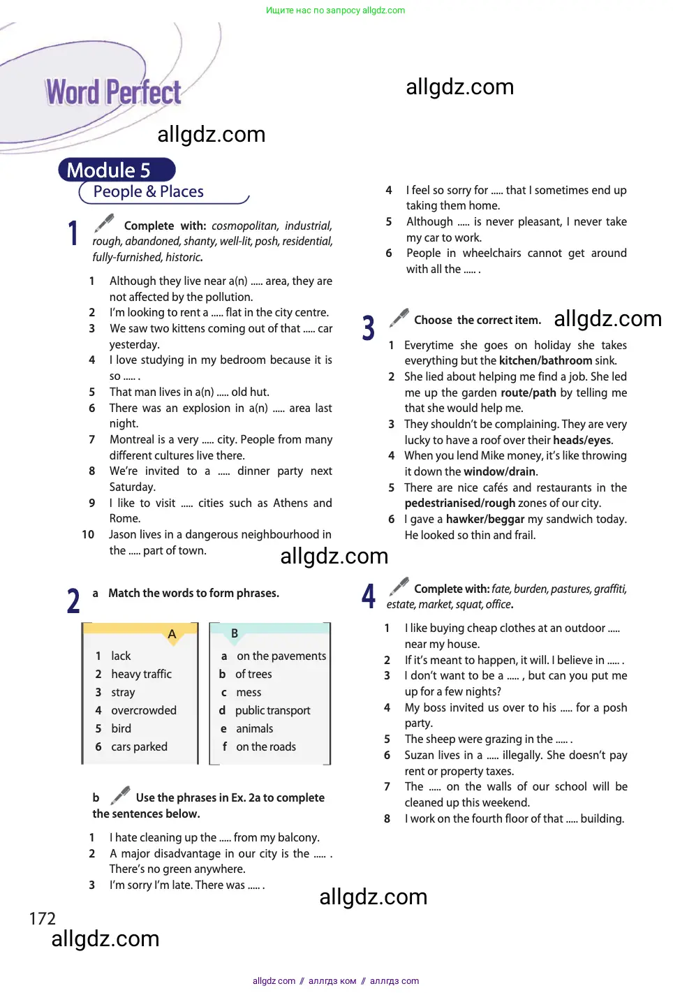 Английский язык (english), 11 класс Учебник (Student's book), авторы: Афанасьева Ольга Васильевна (Afanasyeva Olga), Дули Дженни (Dooley Jenny), Михеева Ирина Владимировна (Mikheeva Irina), Оби Боб (Obee Bob), Эванс Вирджиния (Evans Virginia), издательство Просвещение, Москва, 2019, страница 172