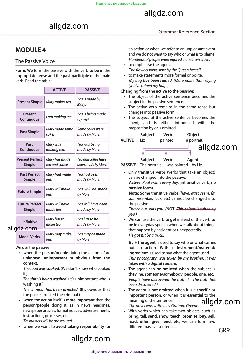 Английский язык (english), 11 класс Учебник (Student's book), авторы: Афанасьева Ольга Васильевна (Afanasyeva Olga), Дули Дженни (Dooley Jenny), Михеева Ирина Владимировна (Mikheeva Irina), Оби Боб (Obee Bob), Эванс Вирджиния (Evans Virginia), издательство Просвещение, Москва, 2019, страница 215