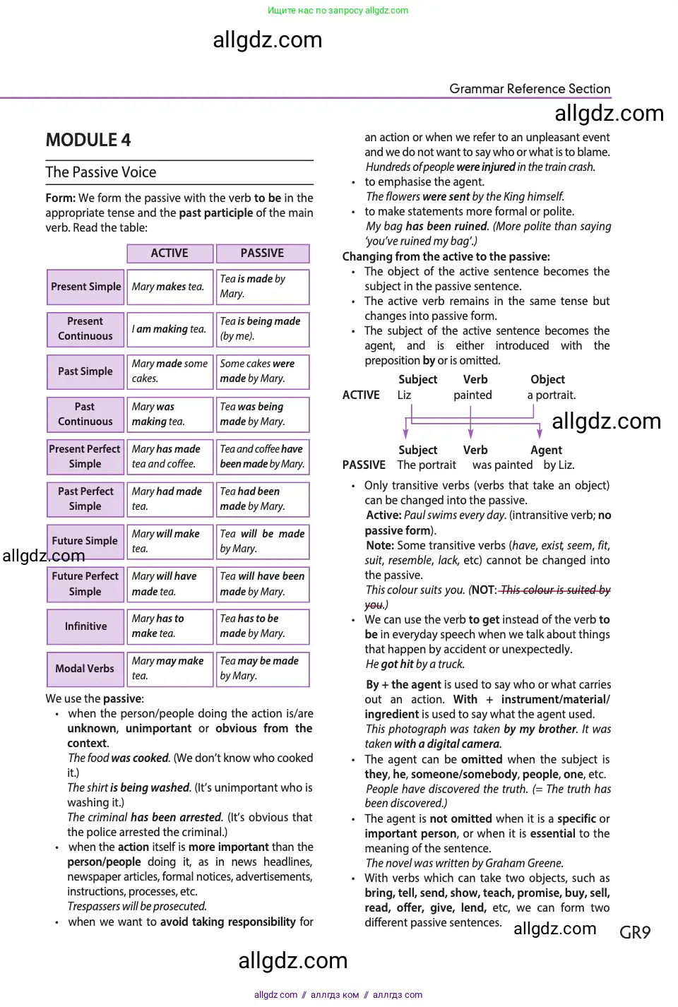 Английский язык (english), 11 класс Учебник (Student's book), авторы: Афанасьева Ольга Васильевна (Afanasyeva Olga), Дули Дженни (Dooley Jenny), Михеева Ирина Владимировна (Mikheeva Irina), Оби Боб (Obee Bob), Эванс Вирджиния (Evans Virginia), издательство Просвещение, Москва, 2019, страница 219