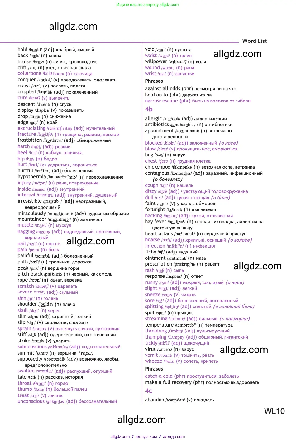 Английский язык (english), 11 класс Учебник (Student's book), авторы: Афанасьева Ольга Васильевна (Afanasyeva Olga), Дули Дженни (Dooley Jenny), Михеева Ирина Владимировна (Mikheeva Irina), Оби Боб (Obee Bob), Эванс Вирджиния (Evans Virginia), издательство Просвещение, Москва, 2019, страница 238