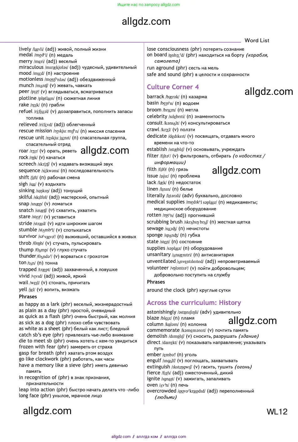 Английский язык (english), 11 класс Учебник (Student's book), авторы: Афанасьева Ольга Васильевна (Afanasyeva Olga), Дули Дженни (Dooley Jenny), Михеева Ирина Владимировна (Mikheeva Irina), Оби Боб (Obee Bob), Эванс Вирджиния (Evans Virginia), издательство Просвещение, Москва, 2019, страница 240