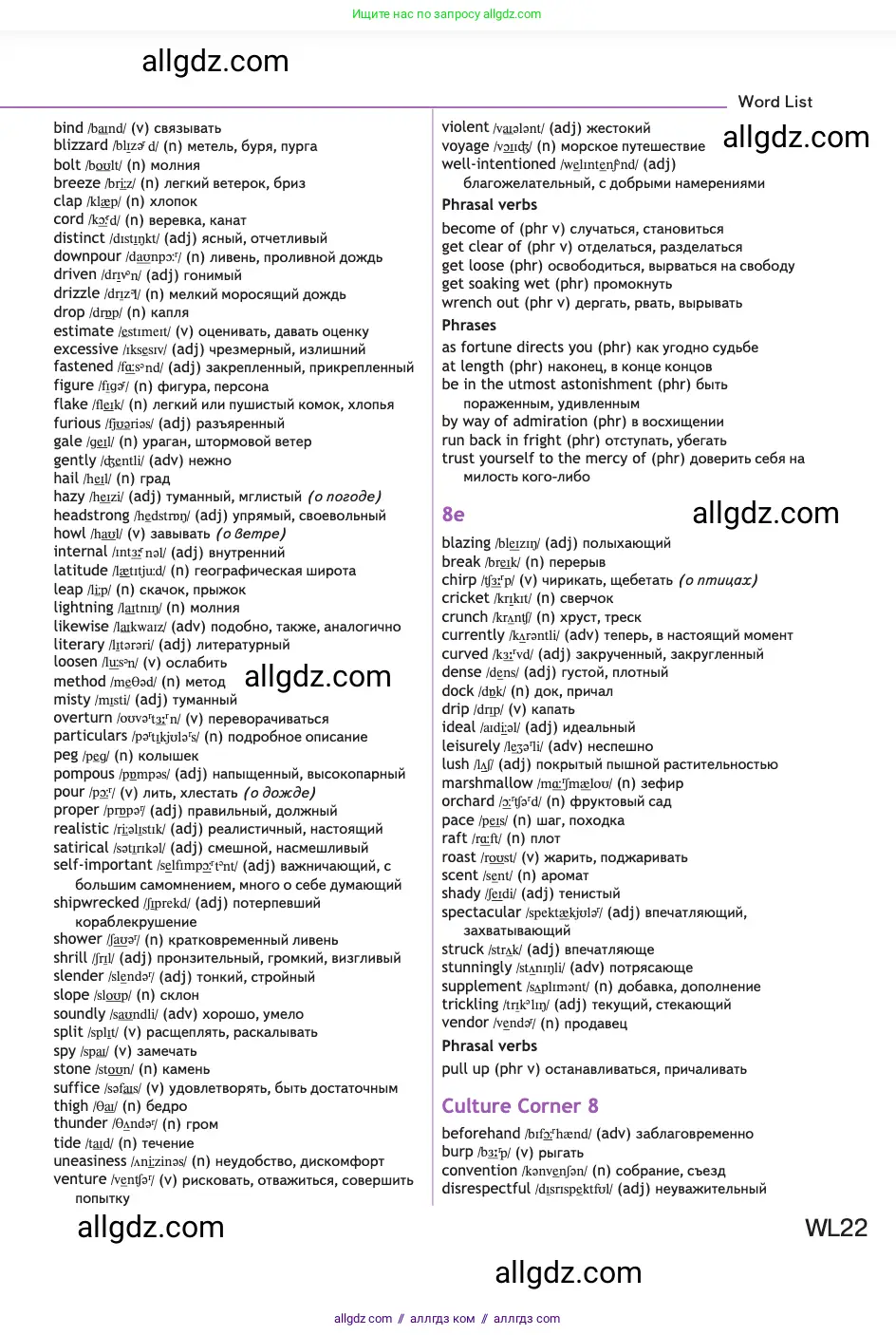 Английский язык (english), 11 класс Учебник (Student's book), авторы: Афанасьева Ольга Васильевна (Afanasyeva Olga), Дули Дженни (Dooley Jenny), Михеева Ирина Владимировна (Mikheeva Irina), Оби Боб (Obee Bob), Эванс Вирджиния (Evans Virginia), издательство Просвещение, Москва, 2019, страница 250