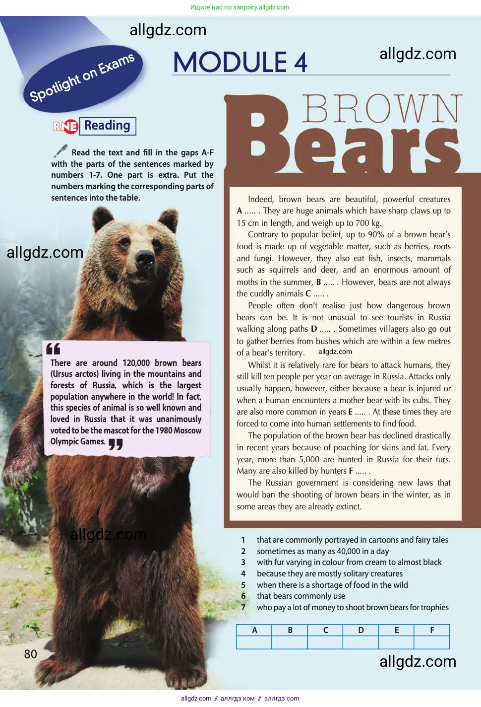 Английский язык (english), 11 класс Учебник (Student's book), авторы: Афанасьева Ольга Васильевна (Afanasyeva Olga), Дули Дженни (Dooley Jenny), Михеева Ирина Владимировна (Mikheeva Irina), Оби Боб (Obee Bob), Эванс Вирджиния (Evans Virginia), издательство Просвещение, Москва, 2019, страница 80