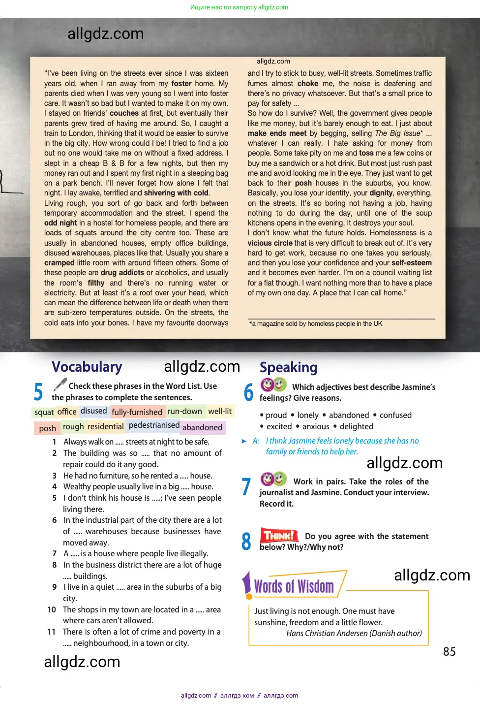 Английский язык (english), 11 класс Учебник (Student's book), авторы: Афанасьева Ольга Васильевна (Afanasyeva Olga), Дули Дженни (Dooley Jenny), Михеева Ирина Владимировна (Mikheeva Irina), Оби Боб (Obee Bob), Эванс Вирджиния (Evans Virginia), издательство Просвещение, Москва, 2019, страница 85