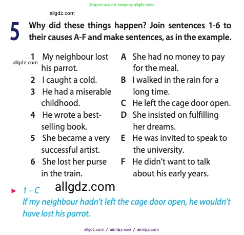 Английский язык (english), 11 класс Учебник (Student's book), авторы: Афанасьева Ольга Васильевна (Afanasyeva Olga), Дули Дженни (Dooley Jenny), Михеева Ирина Владимировна (Mikheeva Irina), Оби Боб (Obee Bob), Эванс Вирджиния (Evans Virginia), издательство Просвещение, Москва, 2019, страница 189, номер 5, Условие