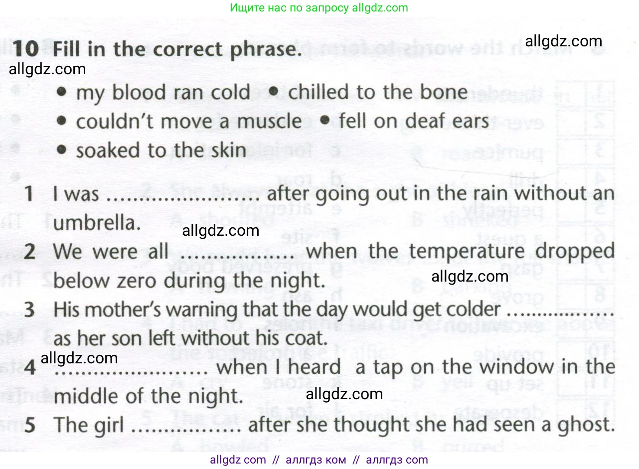 Английский язык (english), 11 класс Лексический практикум (vocabulary practice), авторы: Баранова Ксения Михайловна (Baranova Ksenia), Дули Дженни (Dooley Jenny), Копылова Виктория Викторовна (Kopylova Victoria), Мильруд Радислав Петрович (Millrood Radislav), Эванс Вирджиния (Evans Virginia), издательство Просвещение, Москва, 2019, серого цвета, страница 12, номер 10, Условие